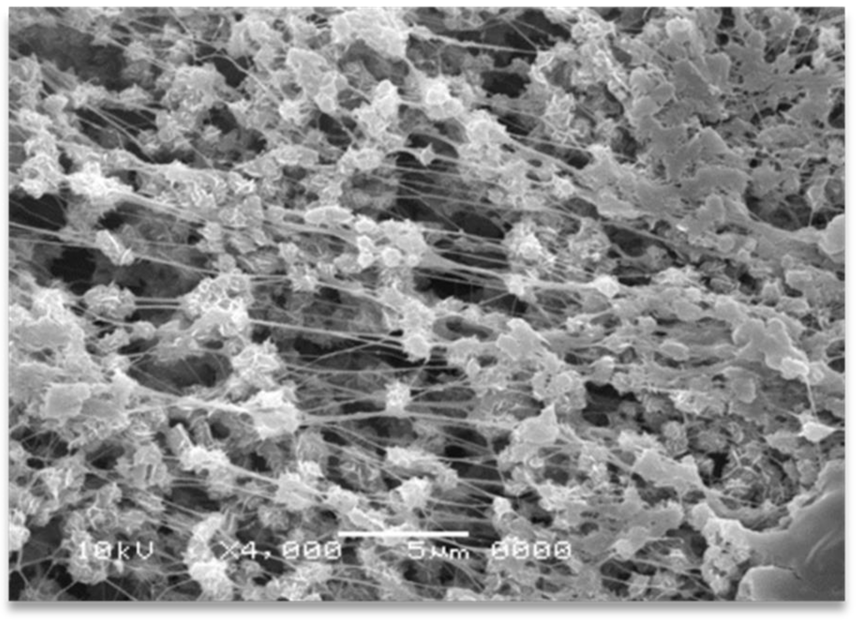 Nanomaterials 12 03825 g001 Nanomaterials 12 03825 g001