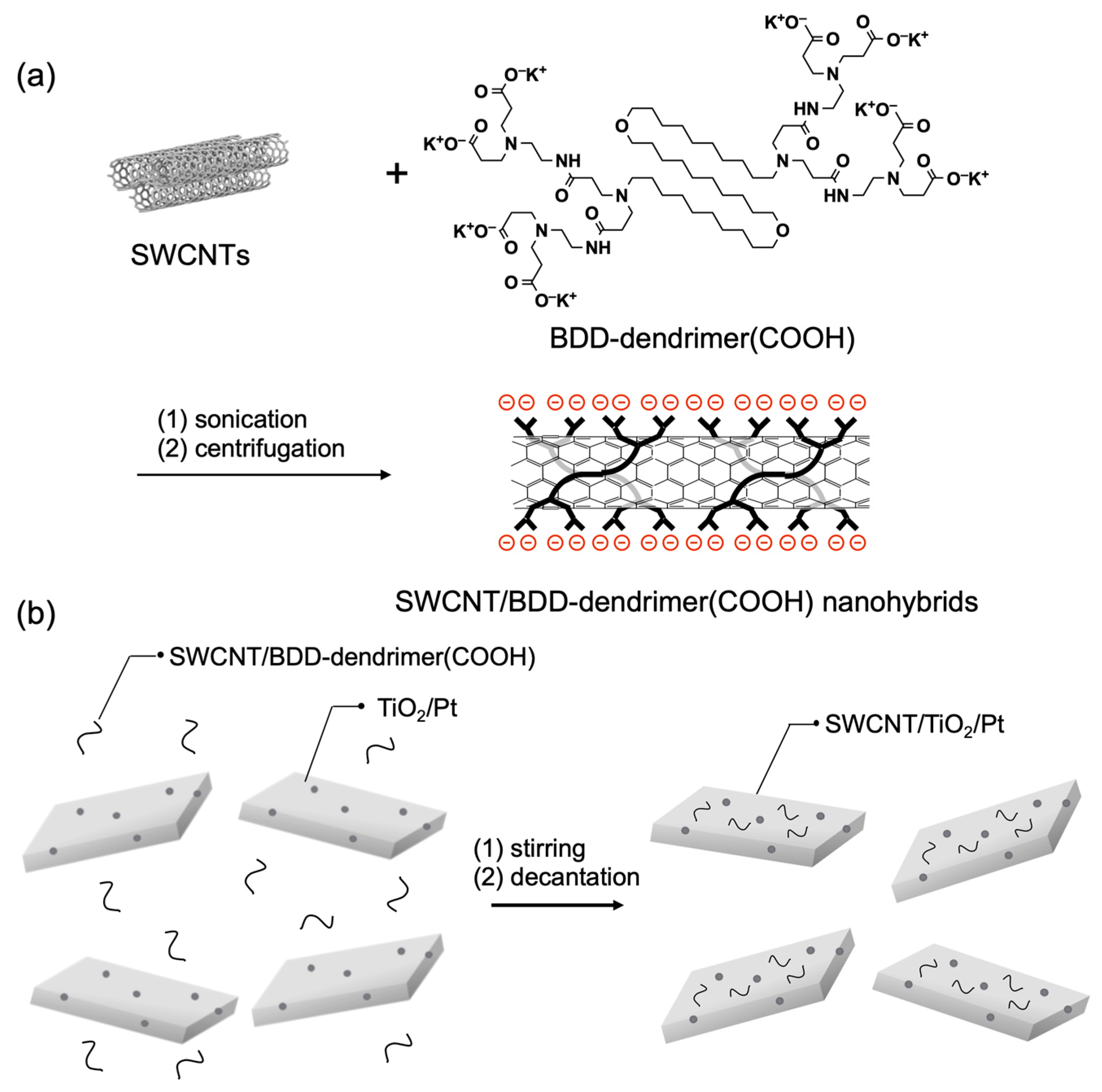 Nanomaterials 12 03826 g001 Nanomaterials 12 03826 g001