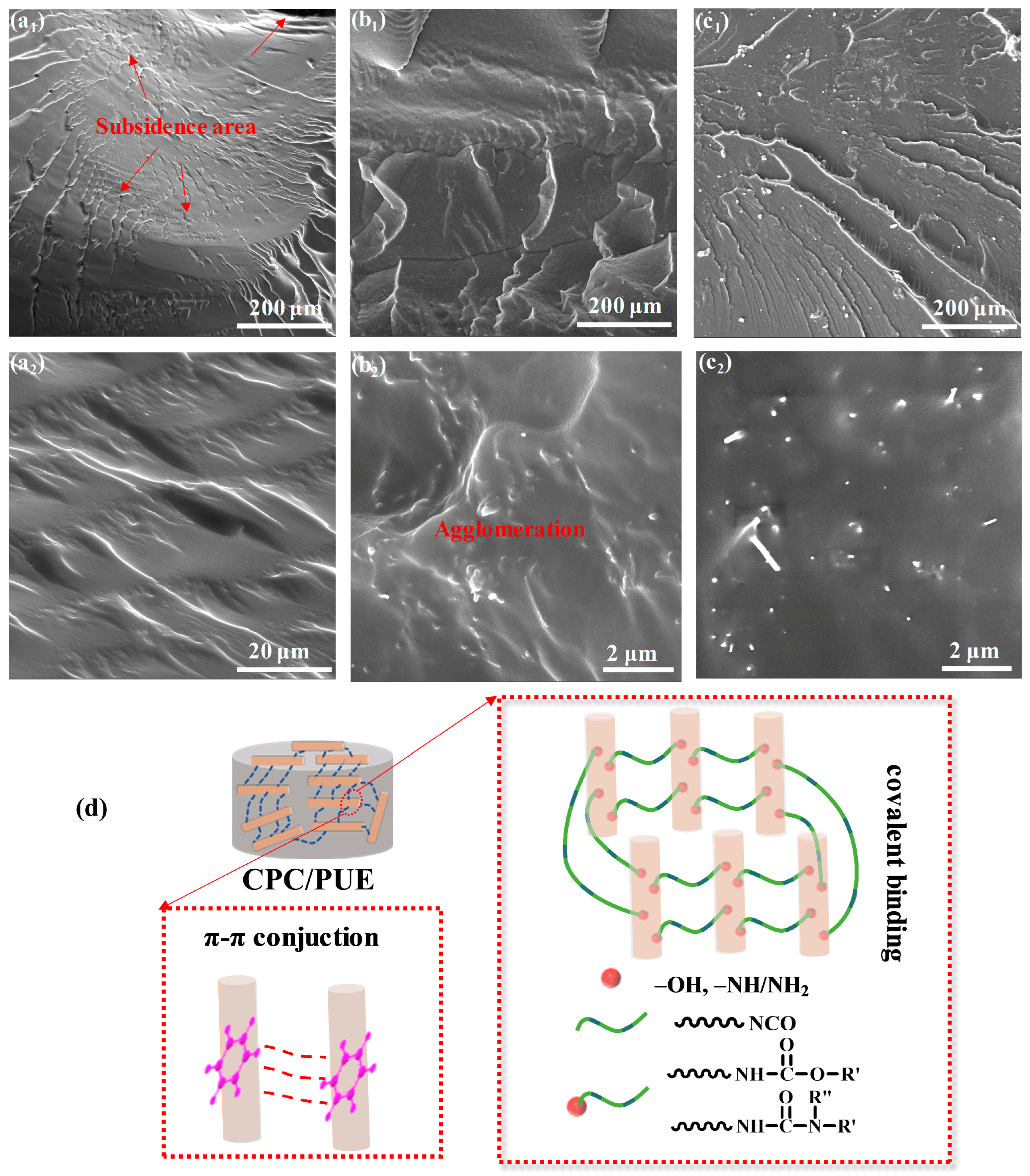 Nanomaterials 12 03830 g008