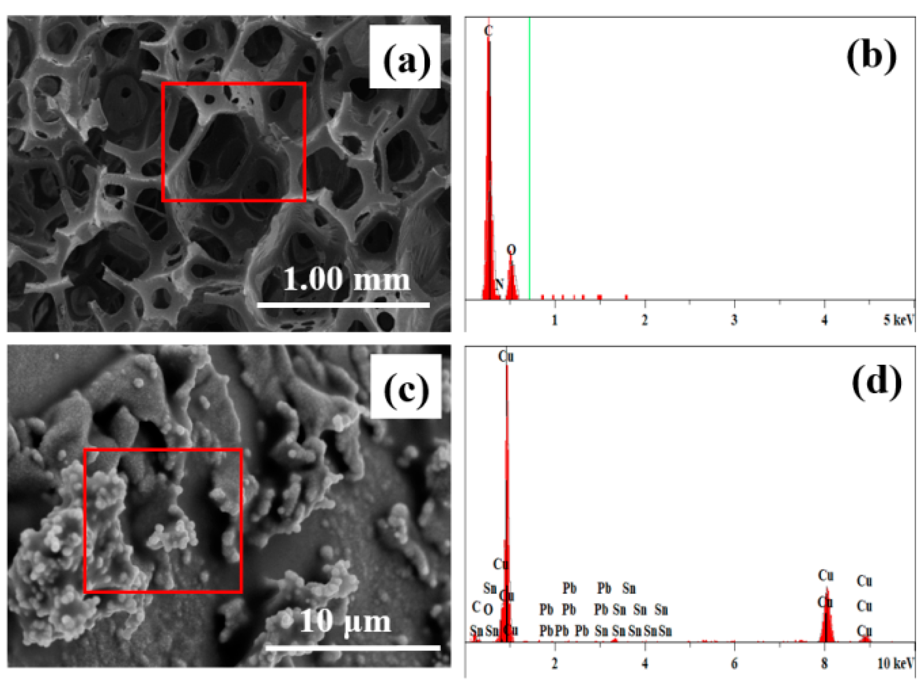 Nanomaterials 12 03833 g004