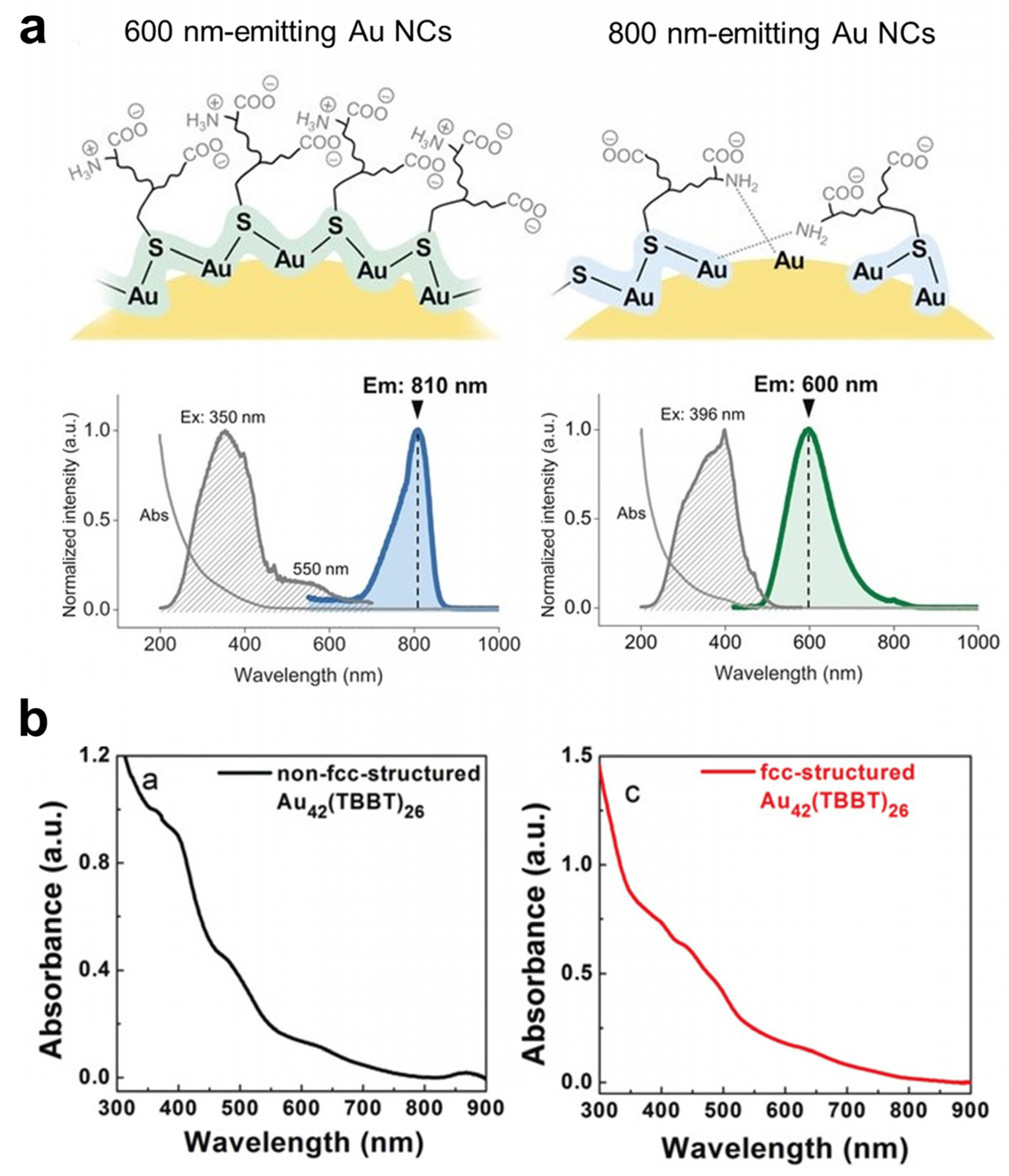 Nanomaterials 12 03837 g005