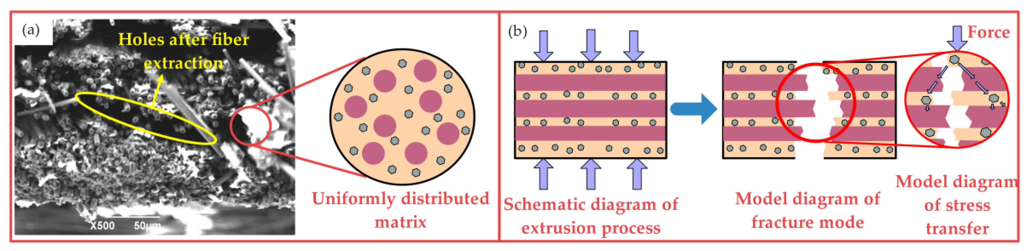 Nanomaterials 12 03839 g010