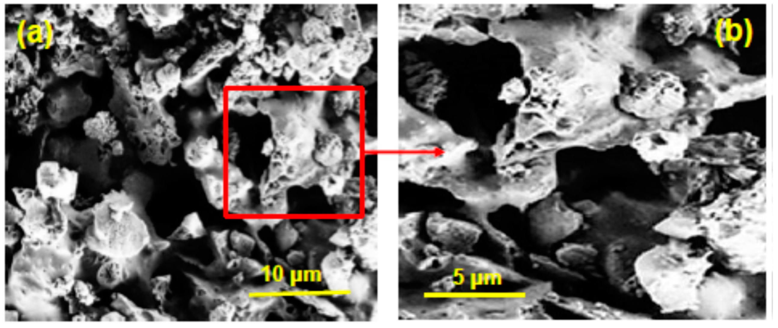 Nanomaterials 12 03841 g015