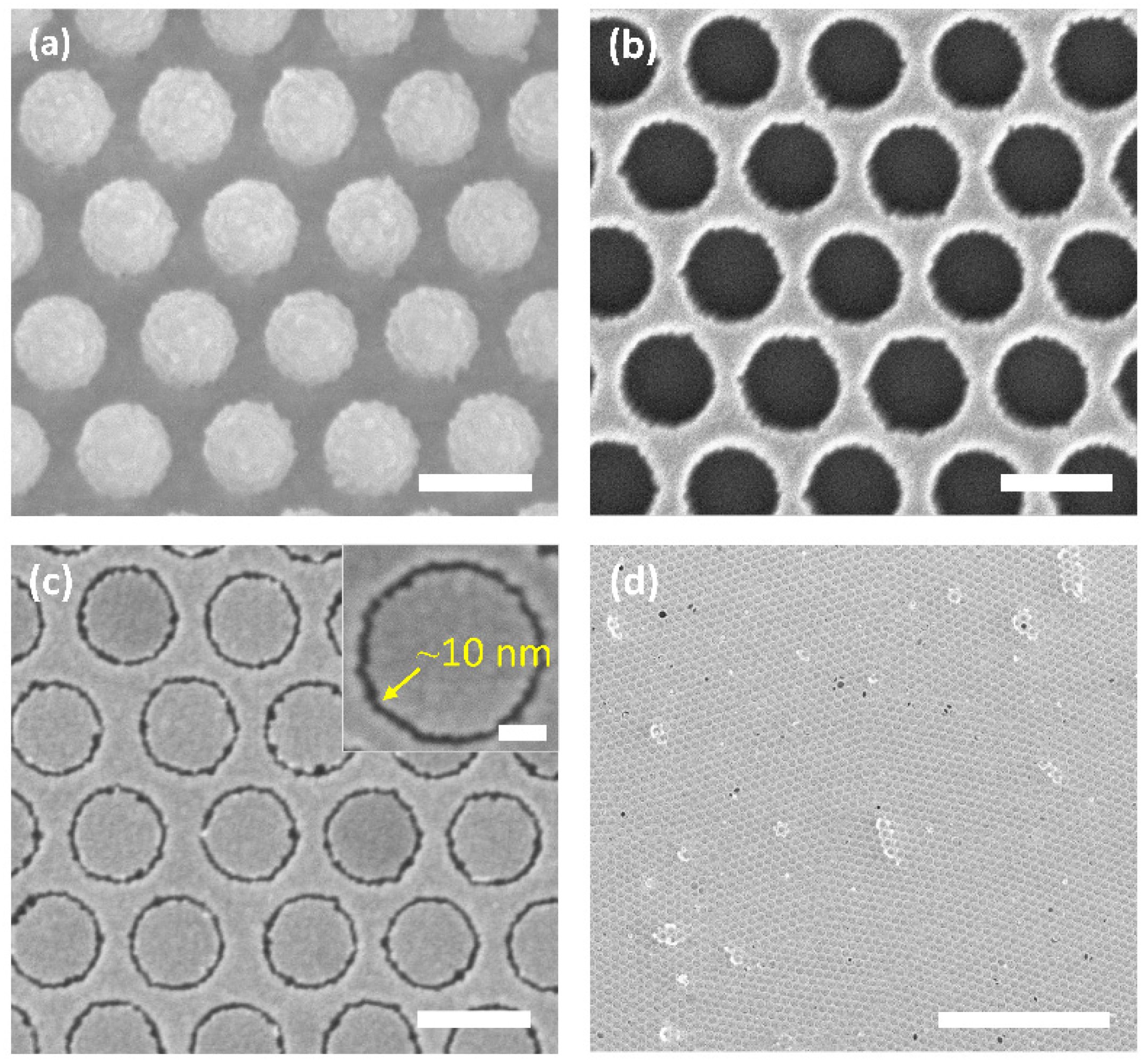 Nanomaterials 12 03842 g002 Nanomaterials 12 03842 g002