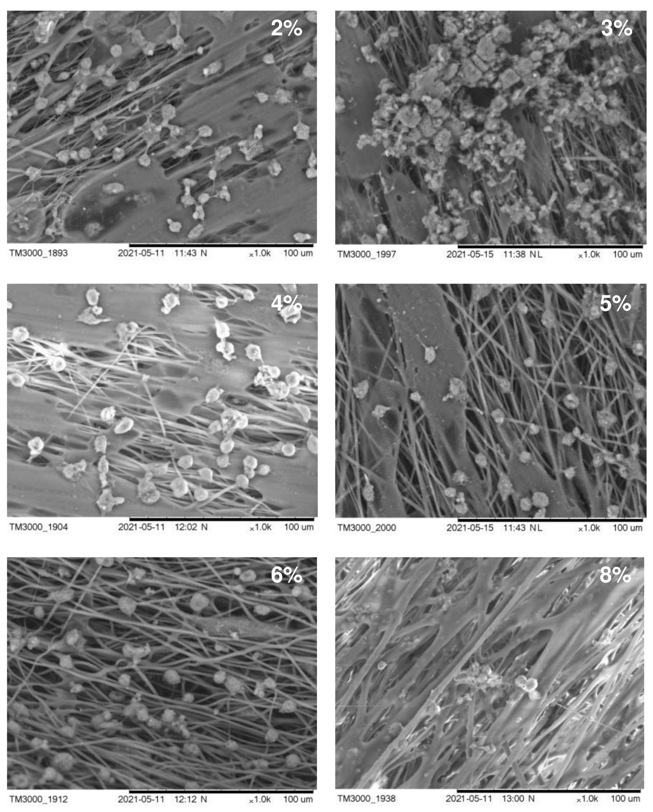 Nanomaterials 12 03843 g004 Nanomaterials 12 03843 g004