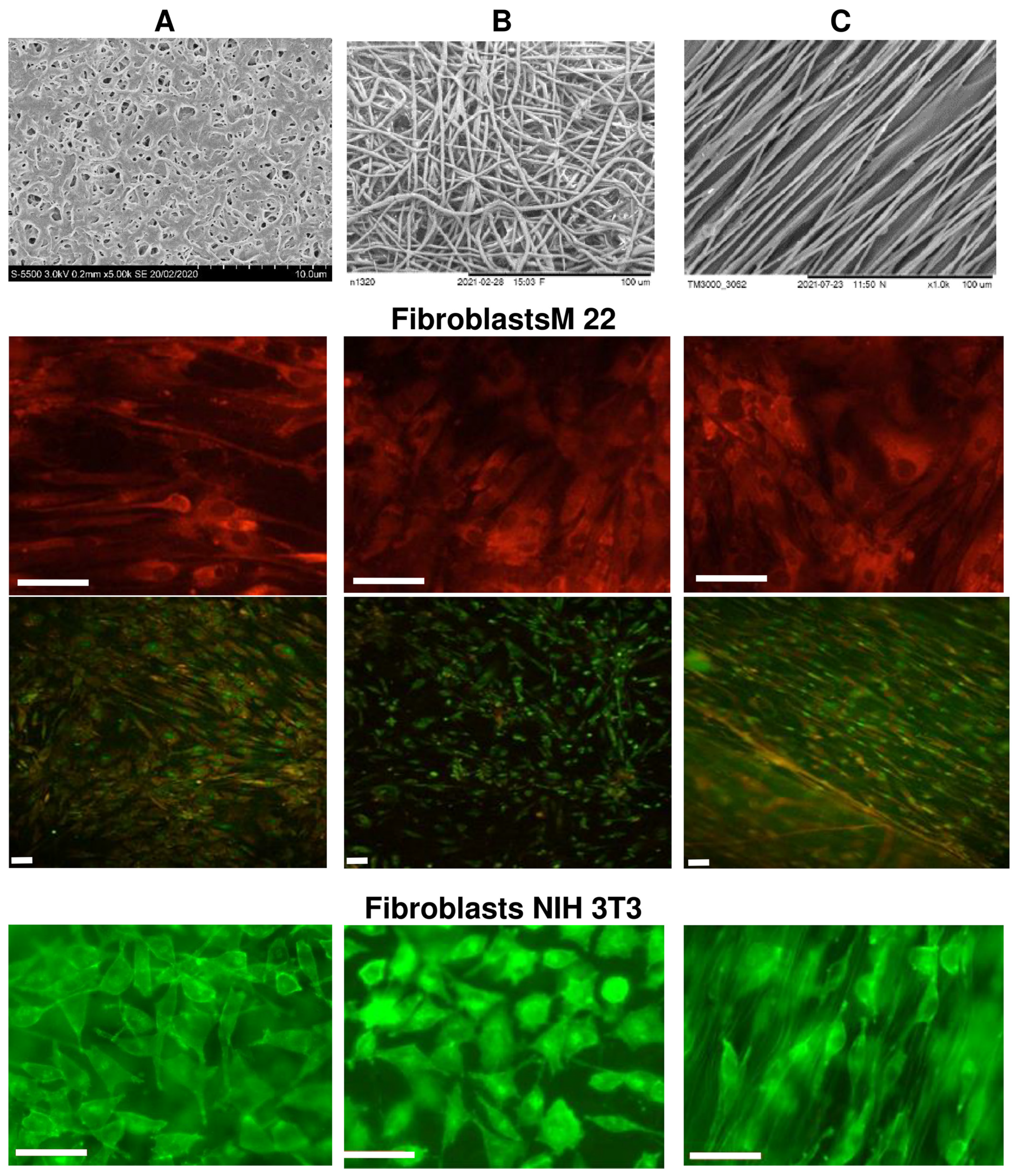 Nanomaterials 12 03843 g006 Nanomaterials 12 03843 g006