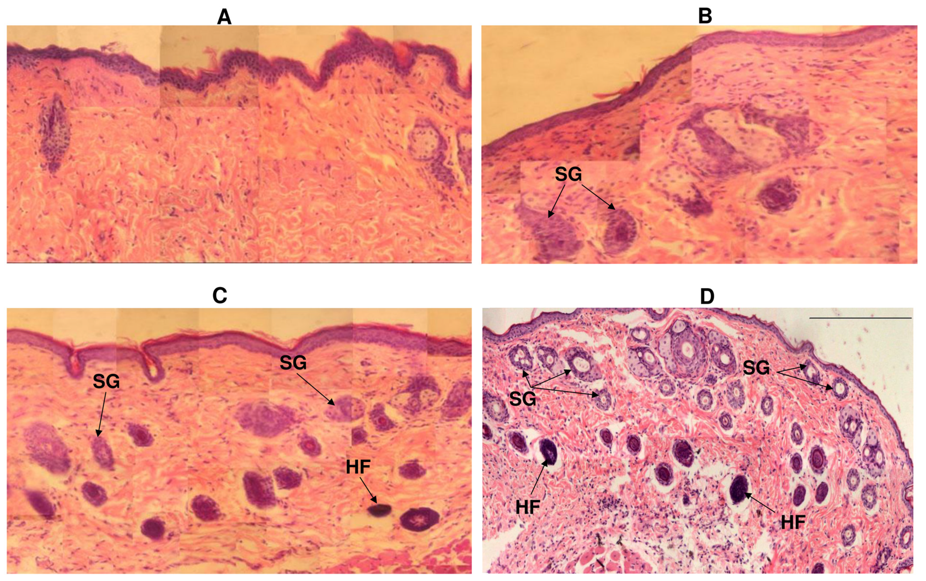 Nanomaterials 12 03843 g007 Nanomaterials 12 03843 g007