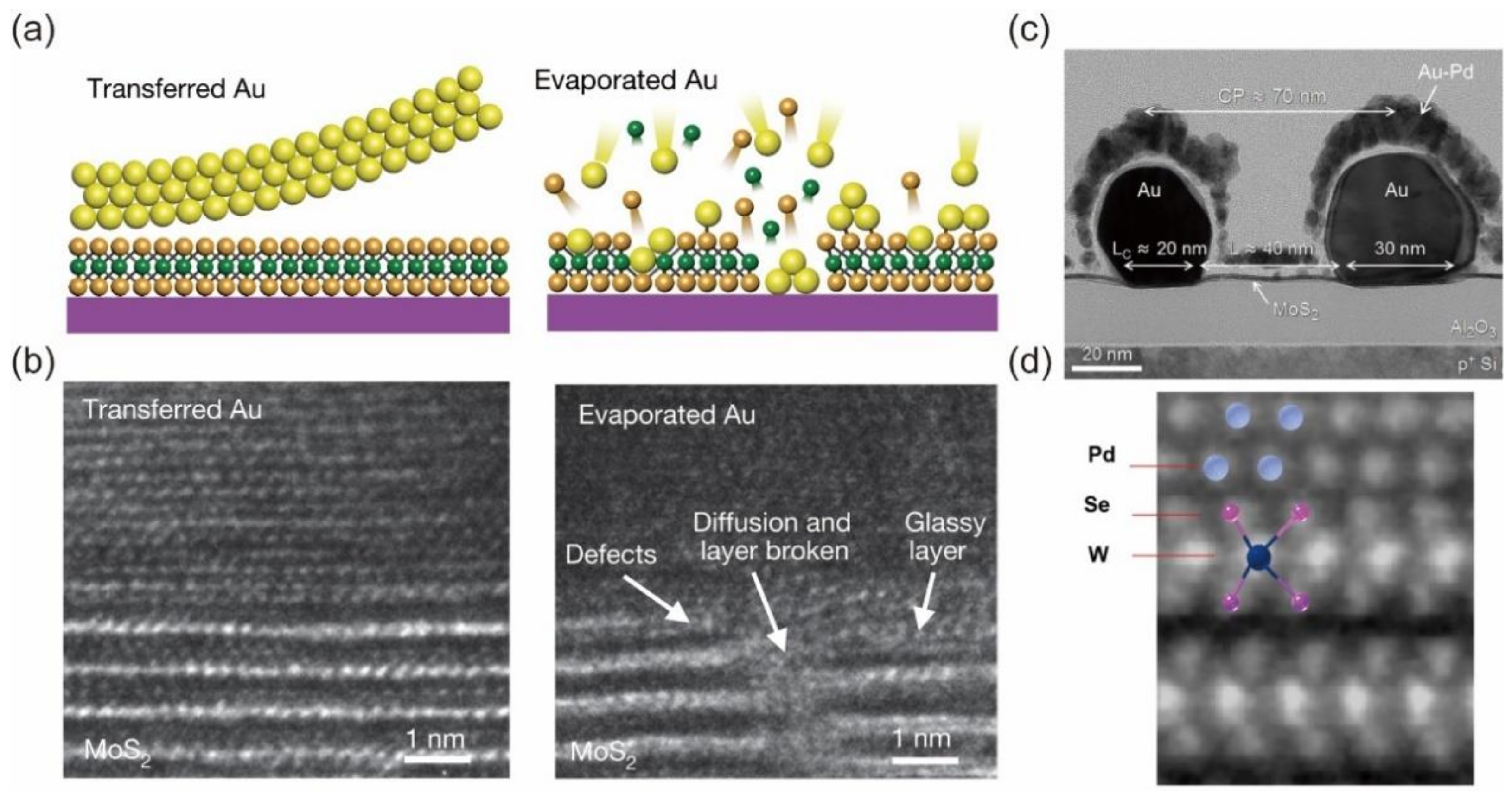 Nanomaterials 12 03845 g002 Nanomaterials 12 03845 g002