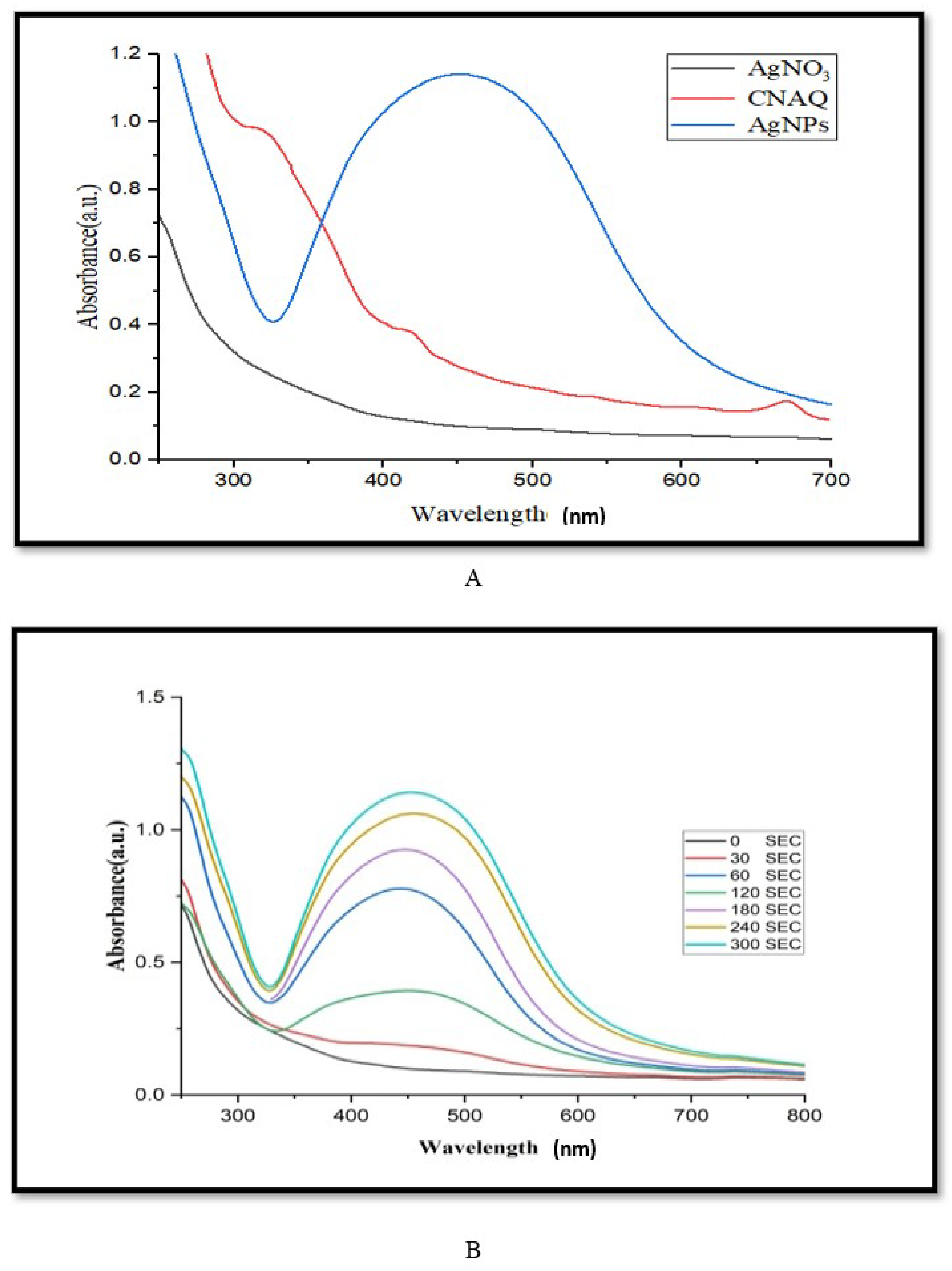 Nanomaterials 12 03851 g001