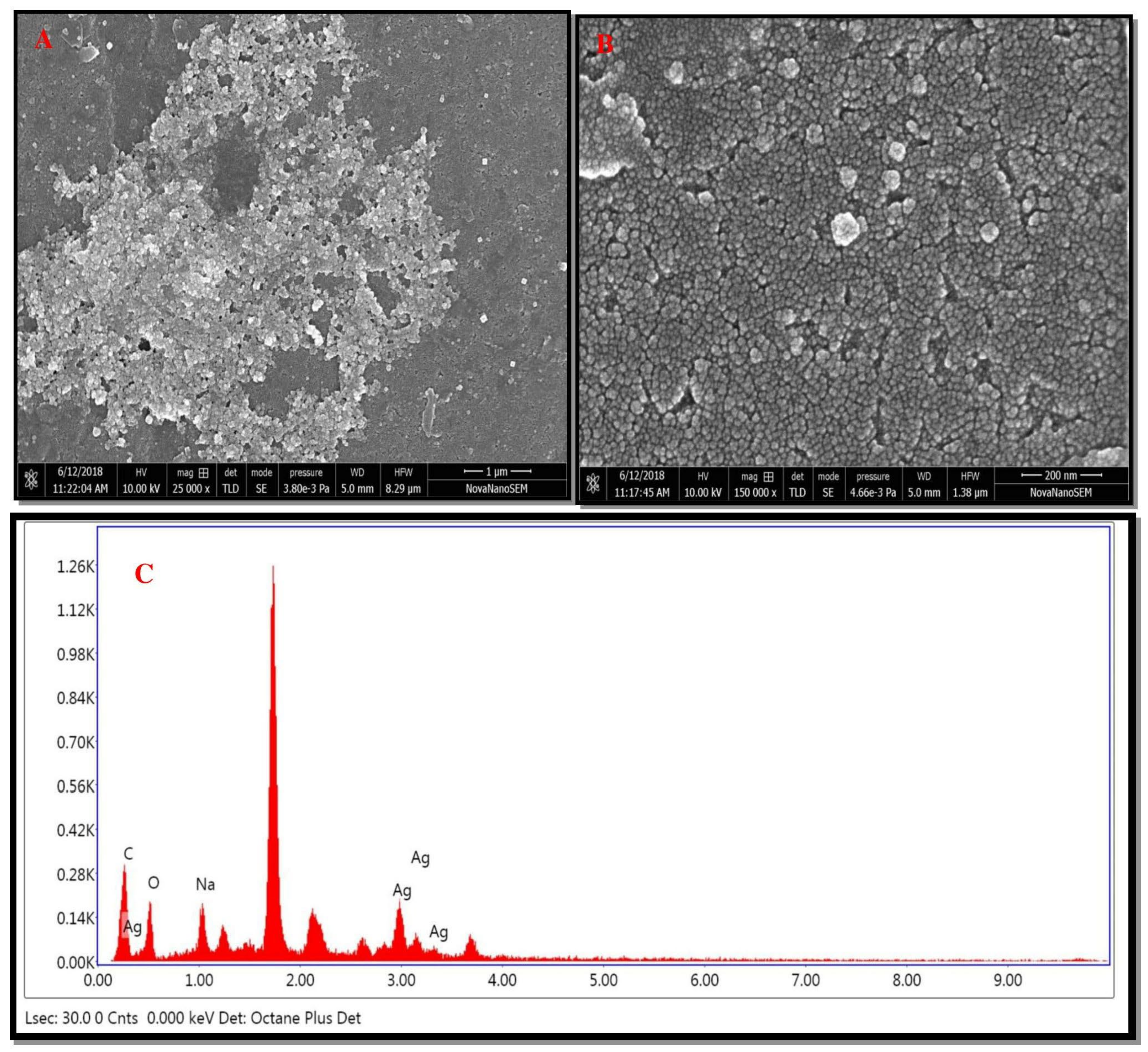 Nanomaterials 12 03851 g006