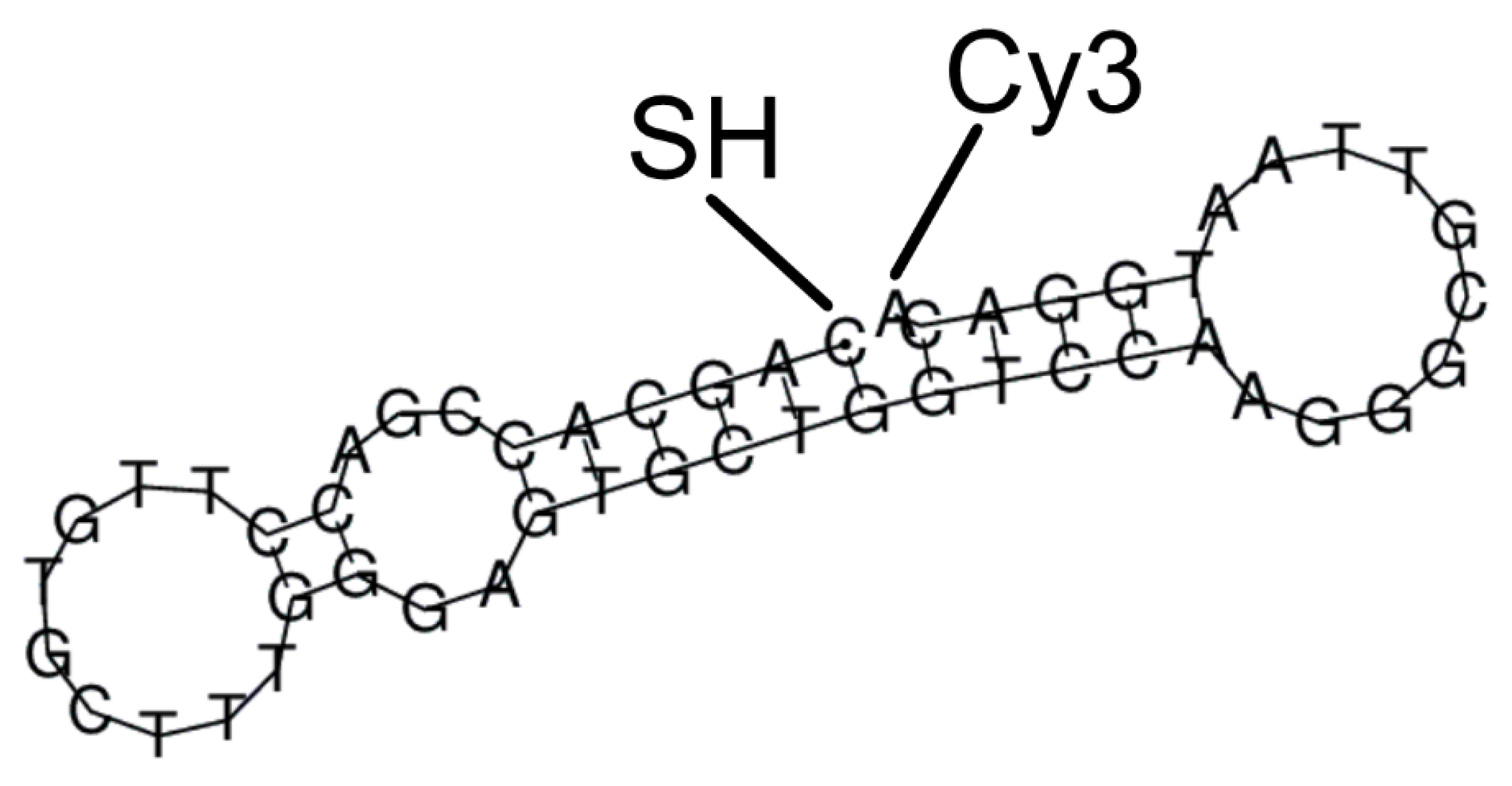 Nanomaterials 12 03854 g001