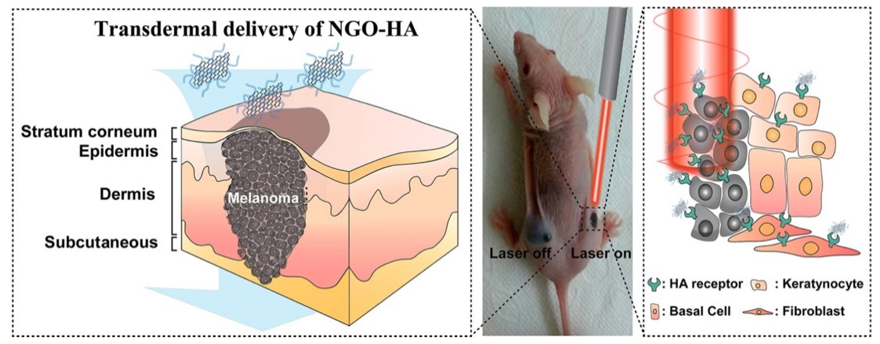 Nanomaterials 12 03855 g005 Nanomaterials 12 03855 g005