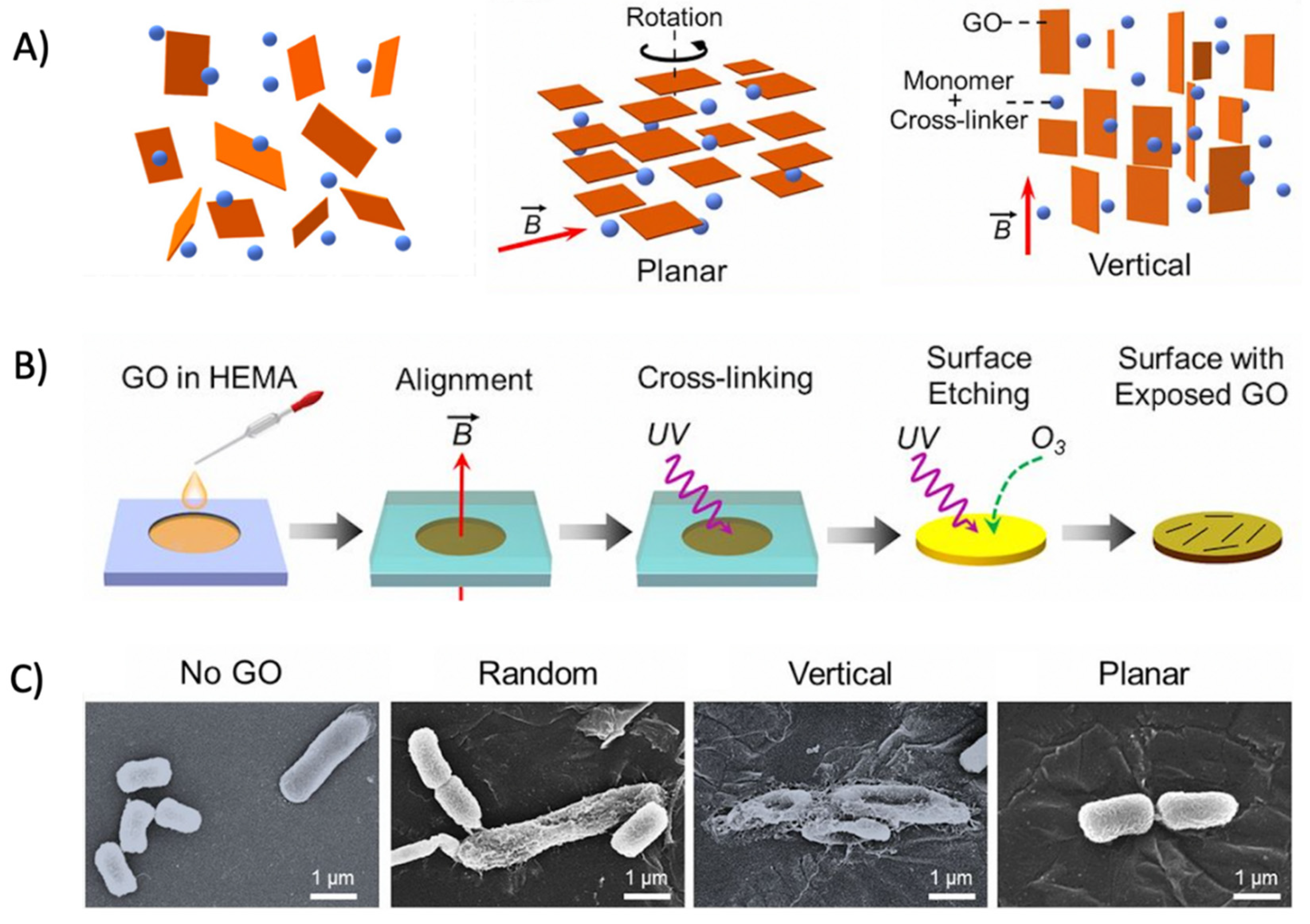 Nanomaterials 12 03855 g009 Nanomaterials 12 03855 g009