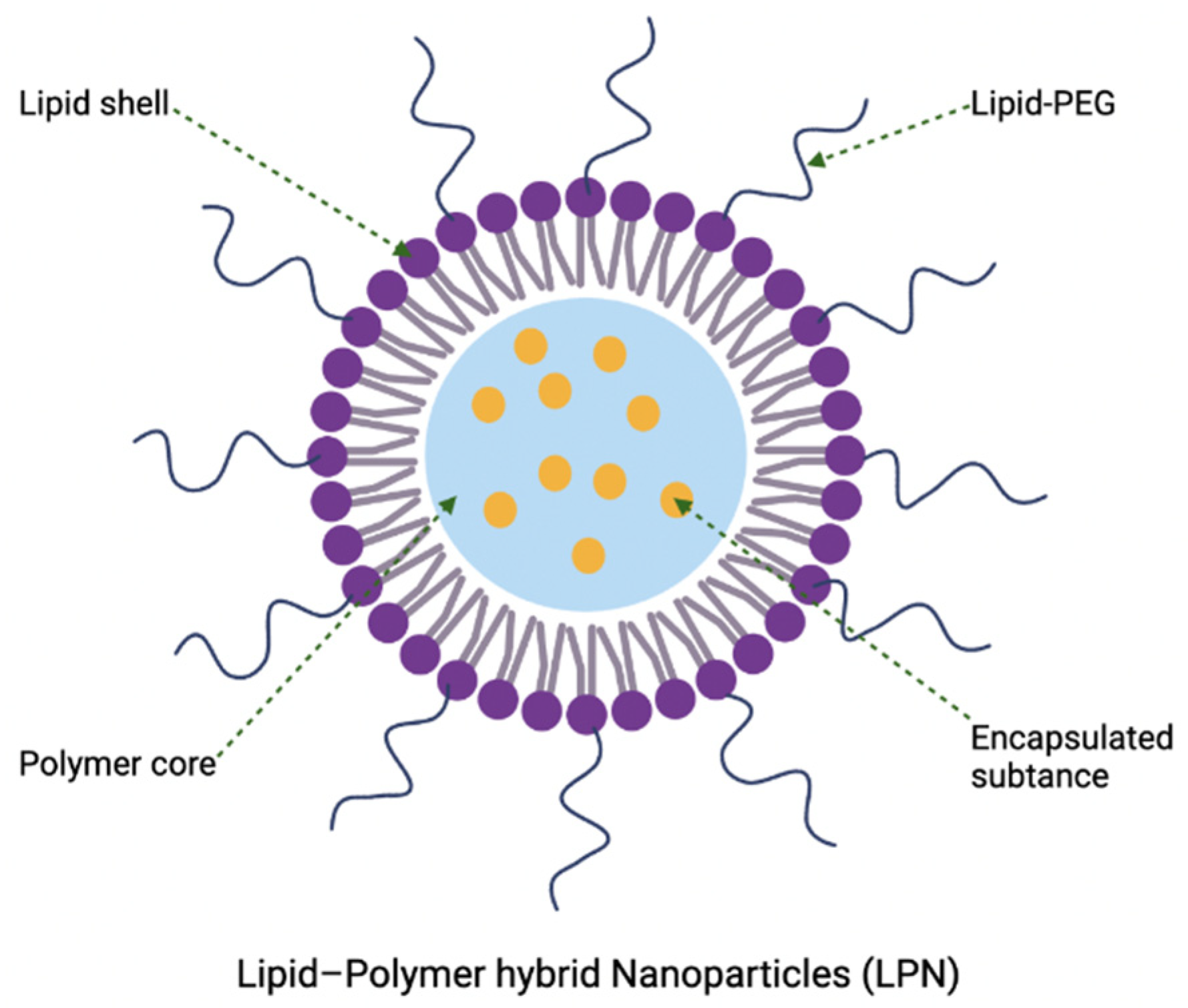 Nanomaterials 12 03855 g011 Nanomaterials 12 03855 g011