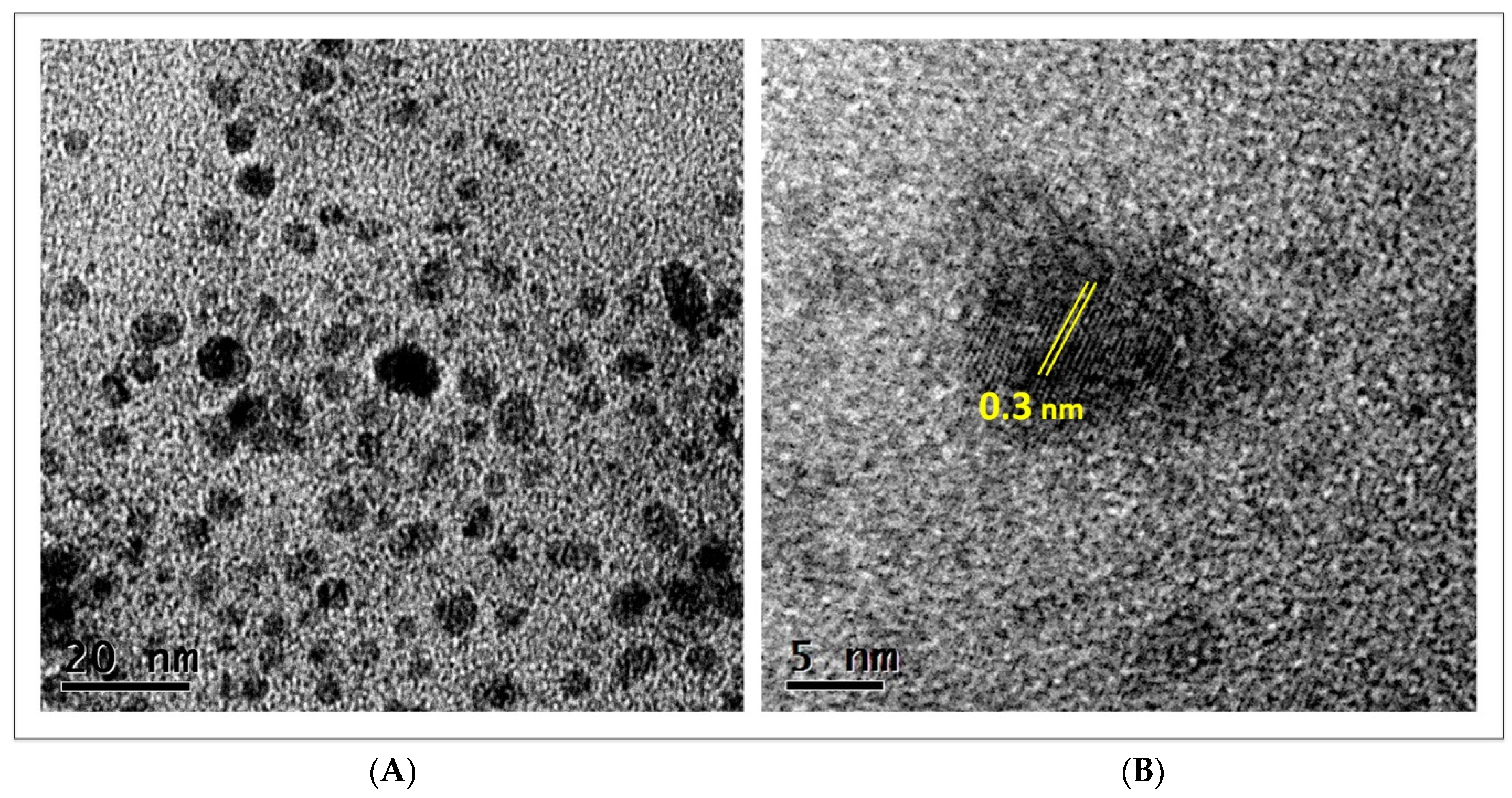 Nanomaterials 12 03856 g003