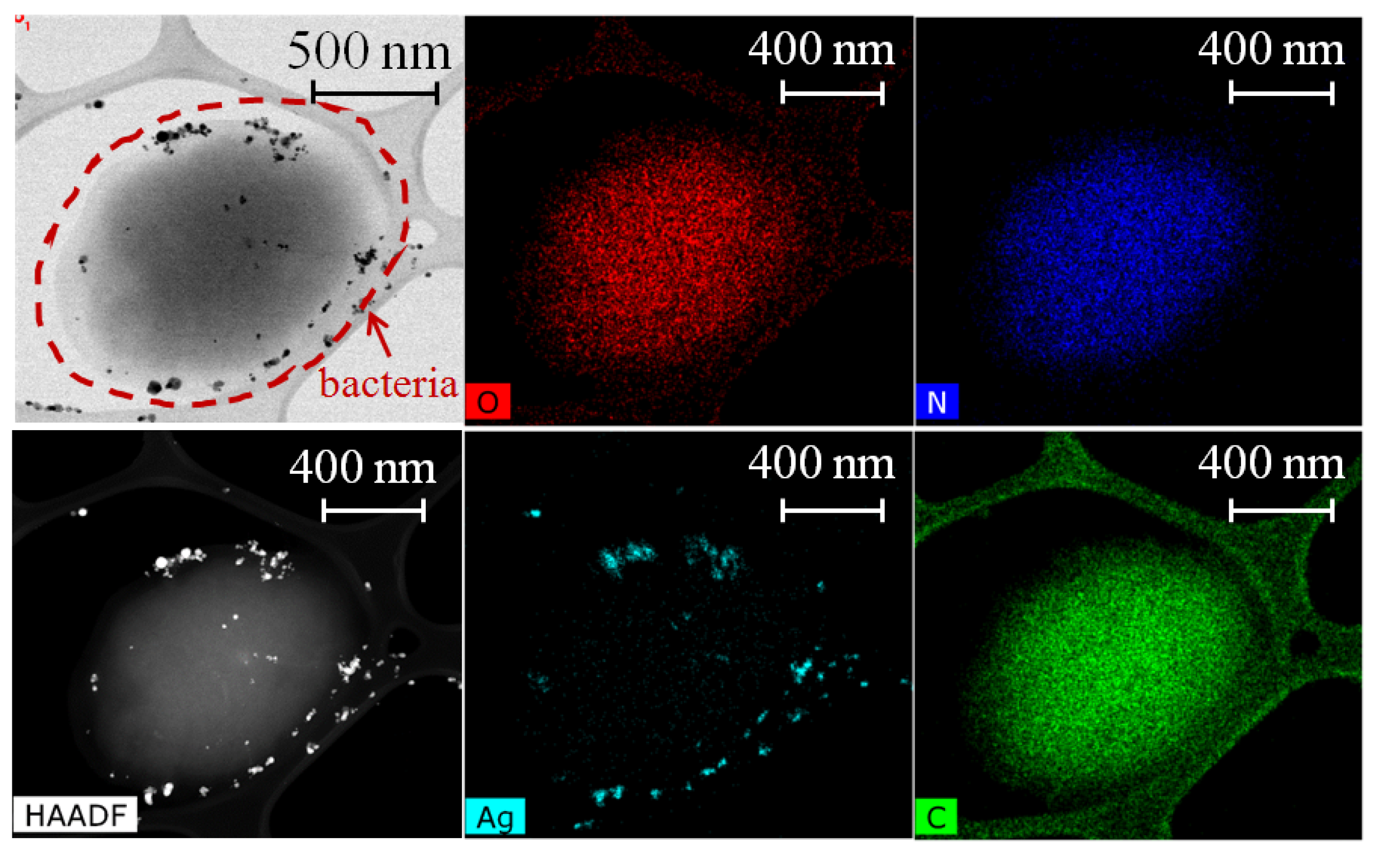 Nanomaterials 12 03857 g004