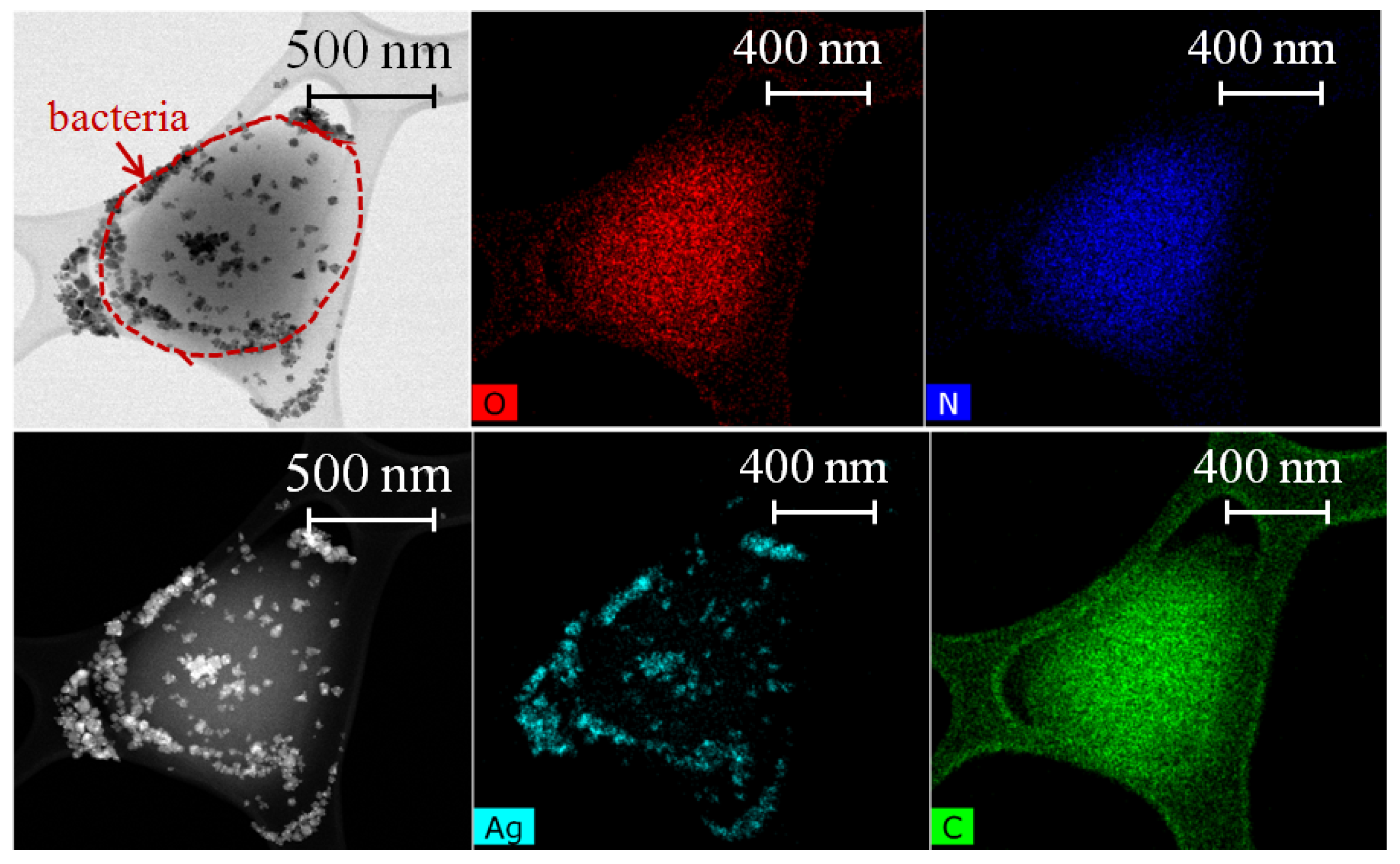 Nanomaterials 12 03857 g005