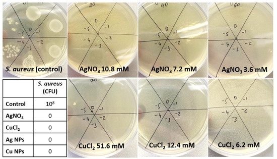 Nanomaterials 12 03857 g0a1