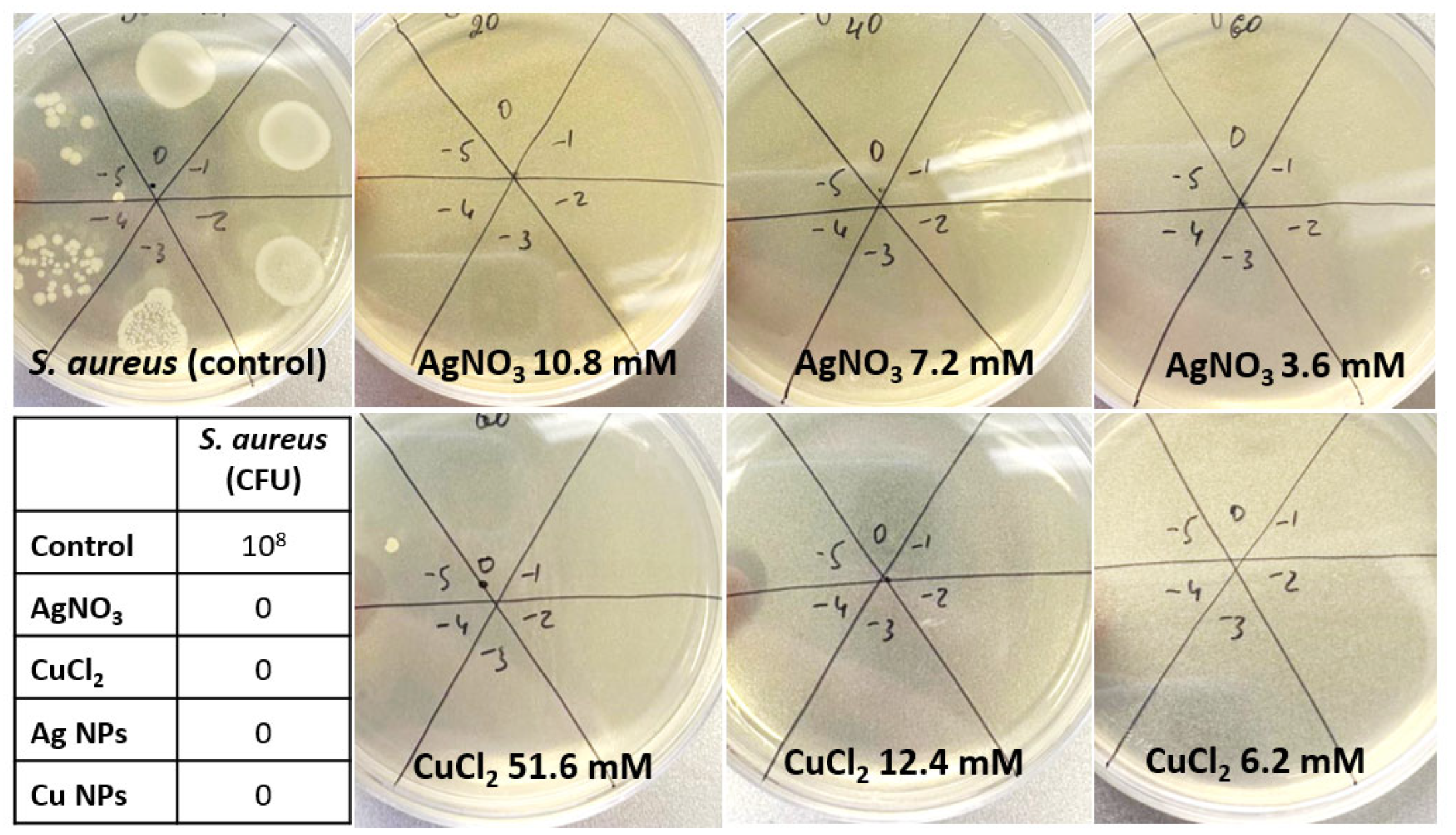 Nanomaterials 12 03857 g0a1