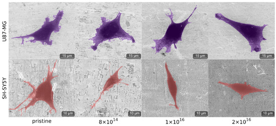 Nanomaterials 12 03858 g0a4