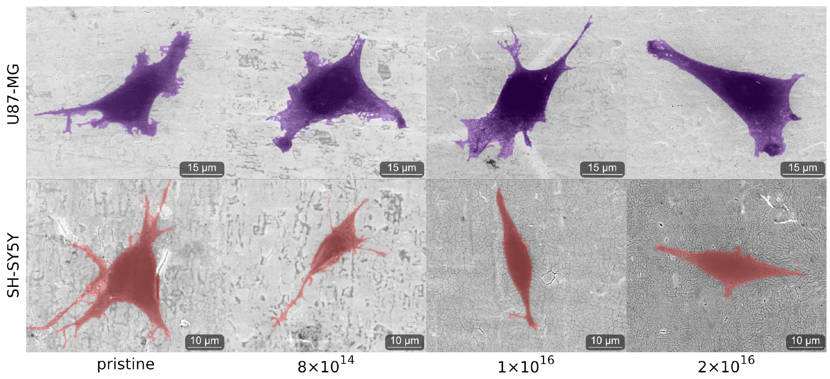 Nanomaterials 12 03858 g0a4