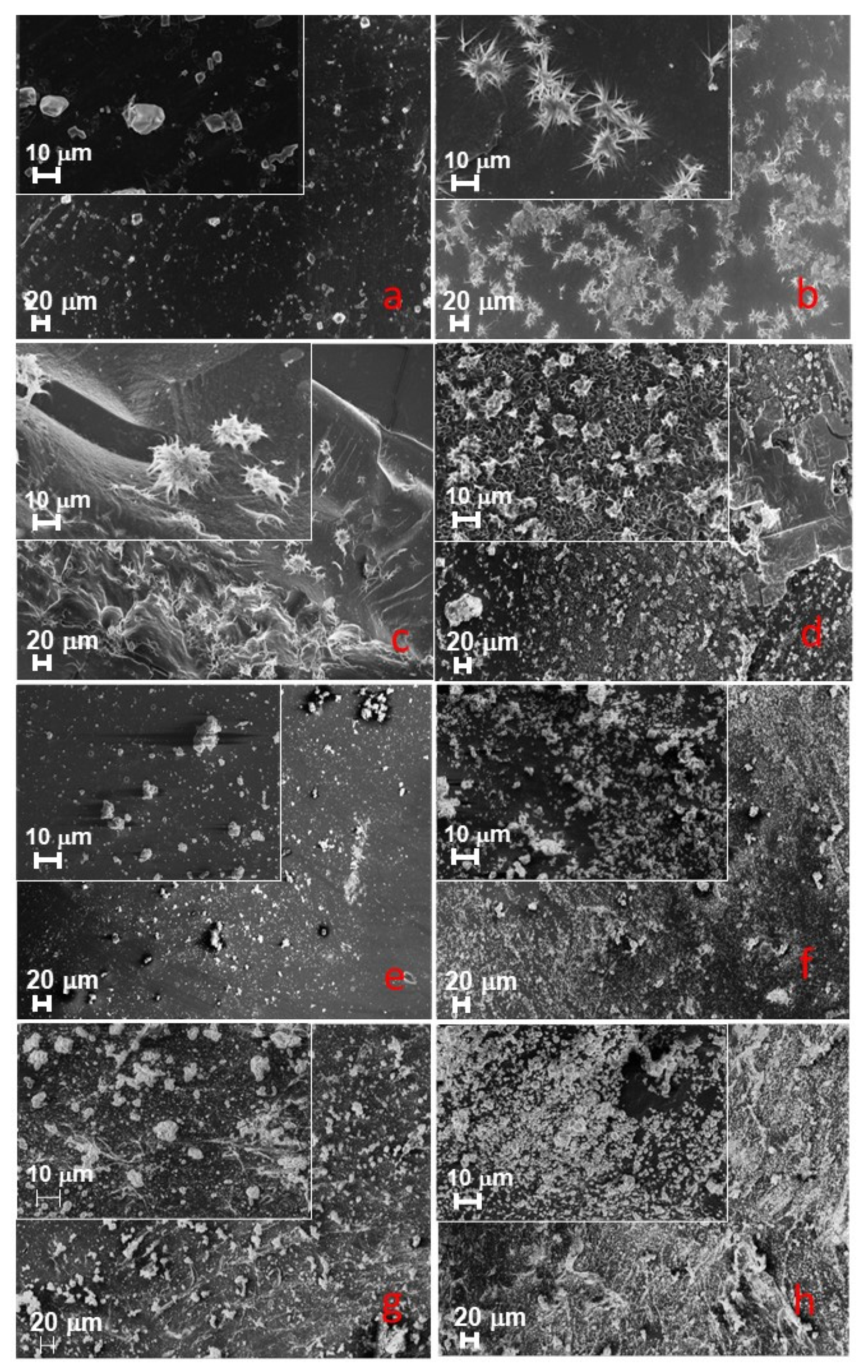 Nanomaterials 12 03862 g005 Nanomaterials 12 03862 g005