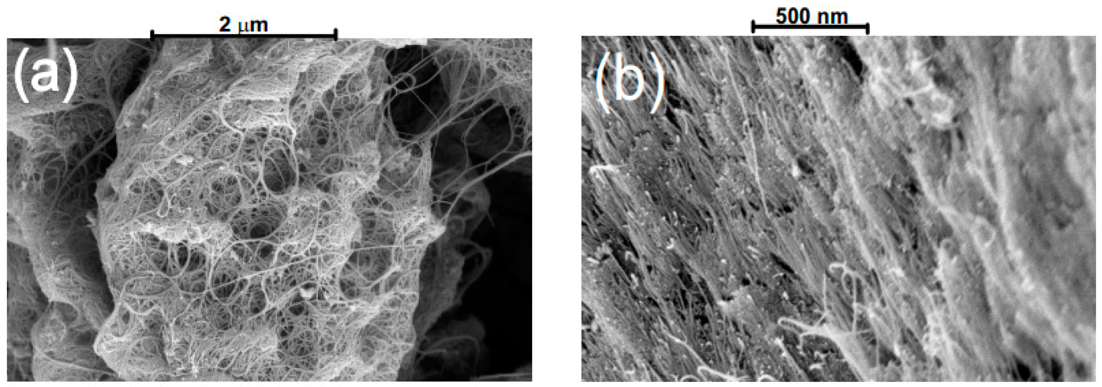 Nanomaterials 12 03864 g001