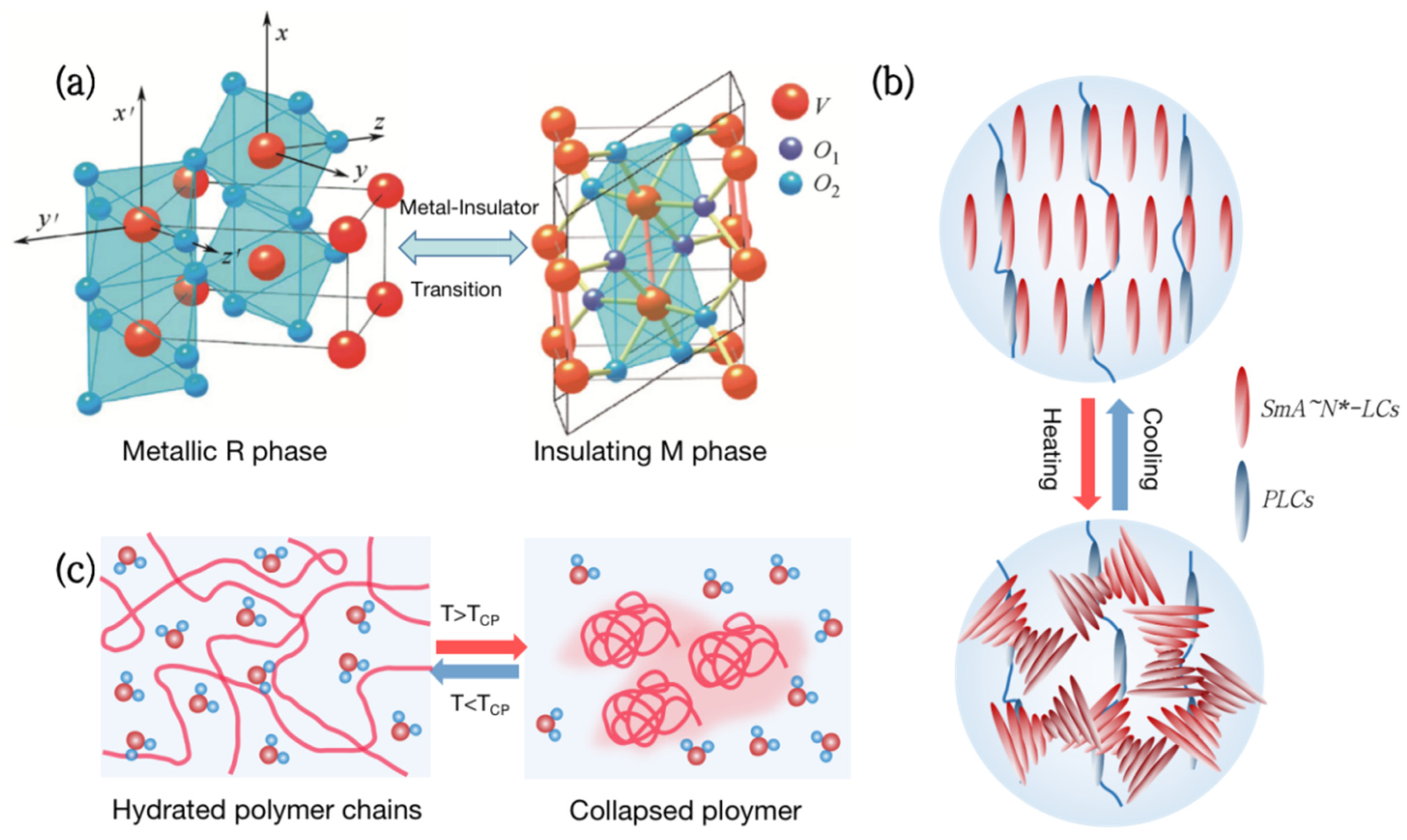 Nanomaterials 12 03865 g001