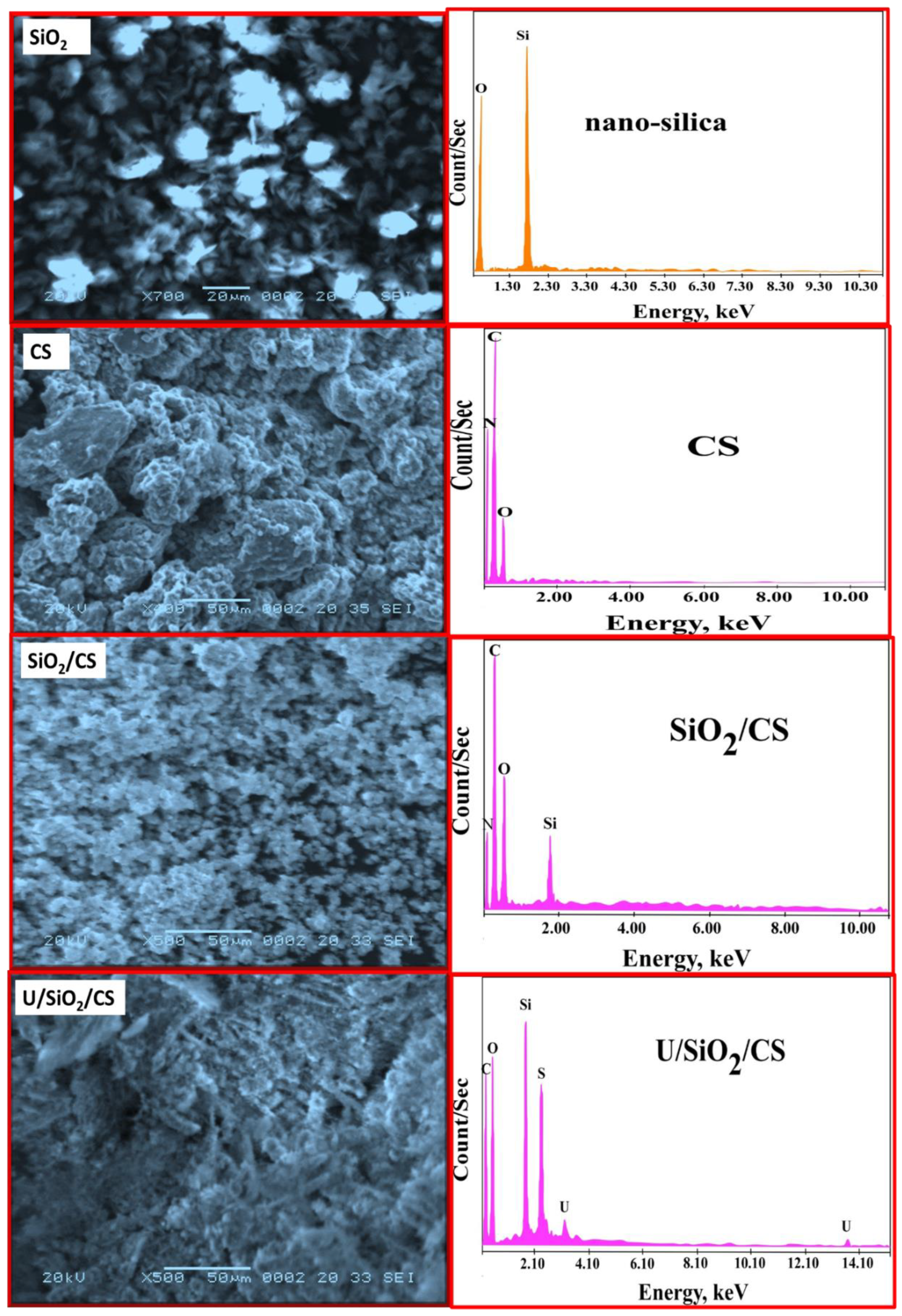 Nanomaterials 12 03866 g002