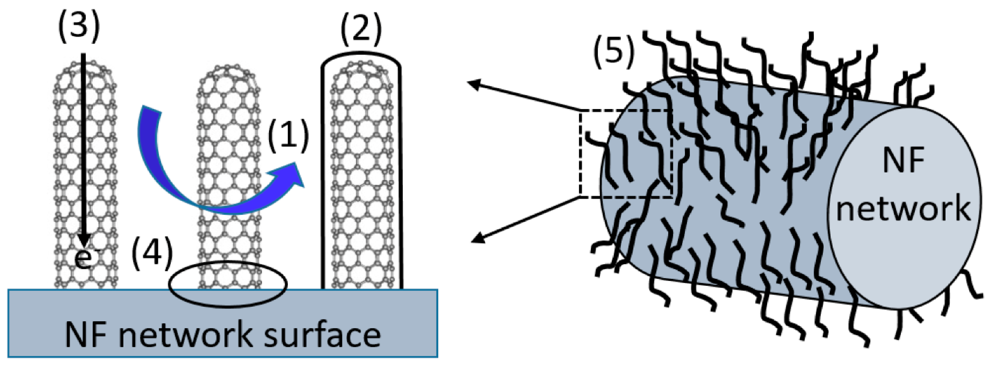 Nanomaterials 12 03867 g007 Nanomaterials 12 03867 g007