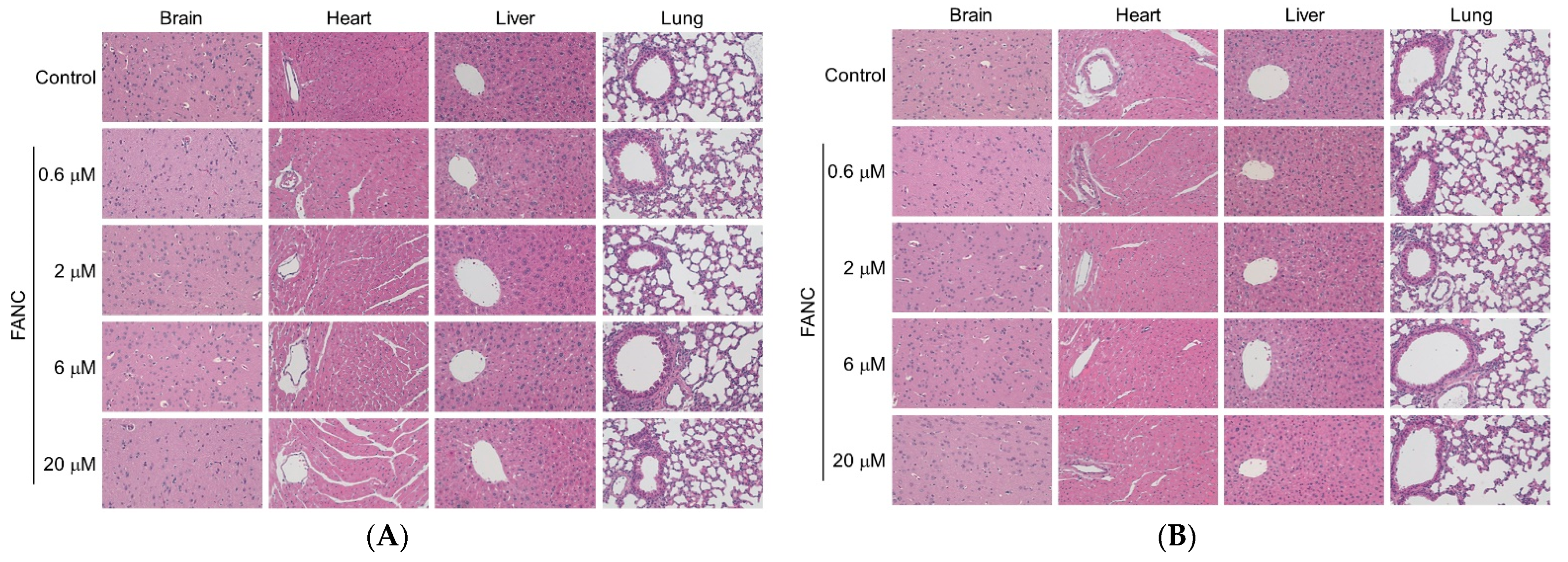 Nanomaterials 12 03868 g003a