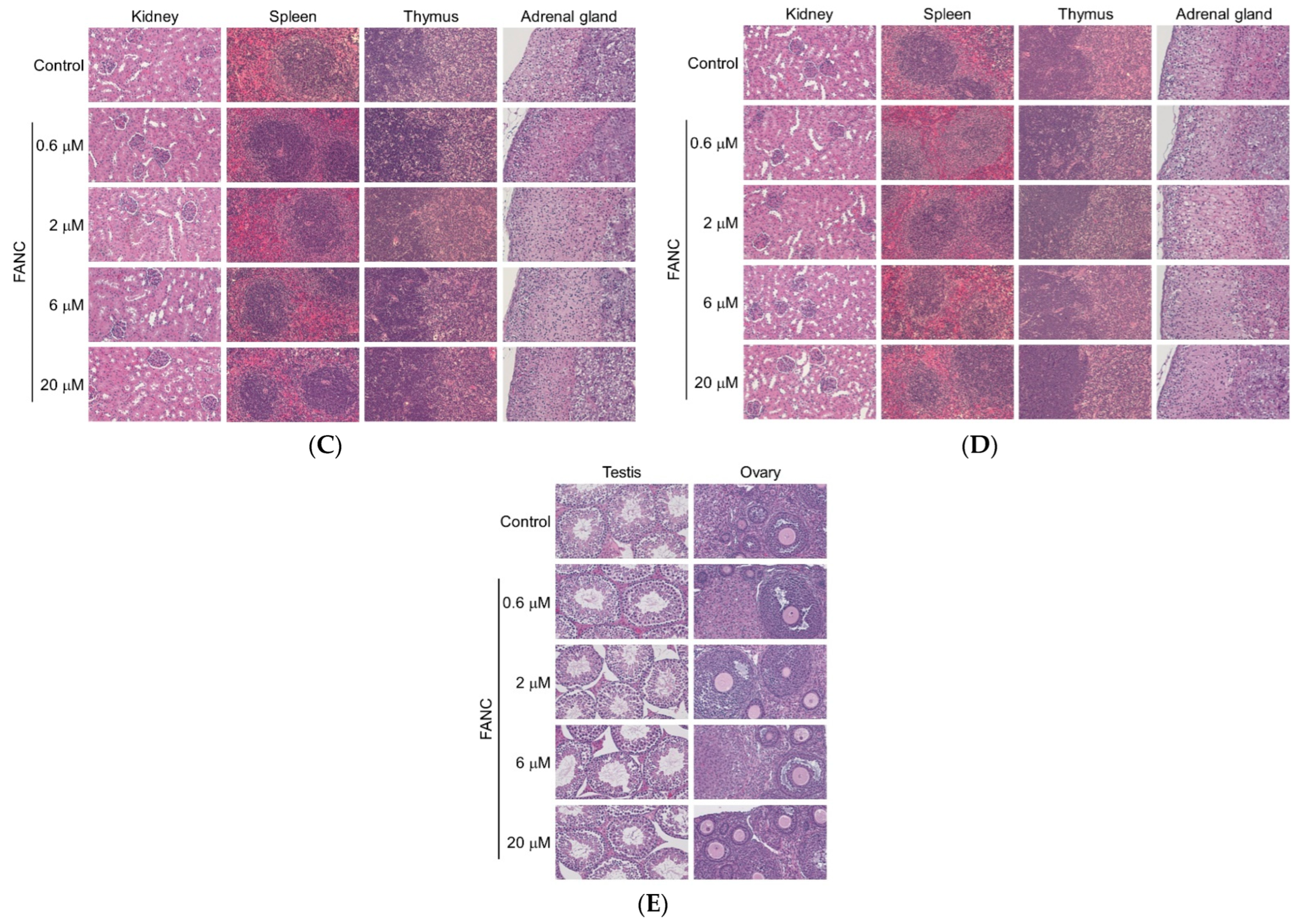 Nanomaterials 12 03868 g003b