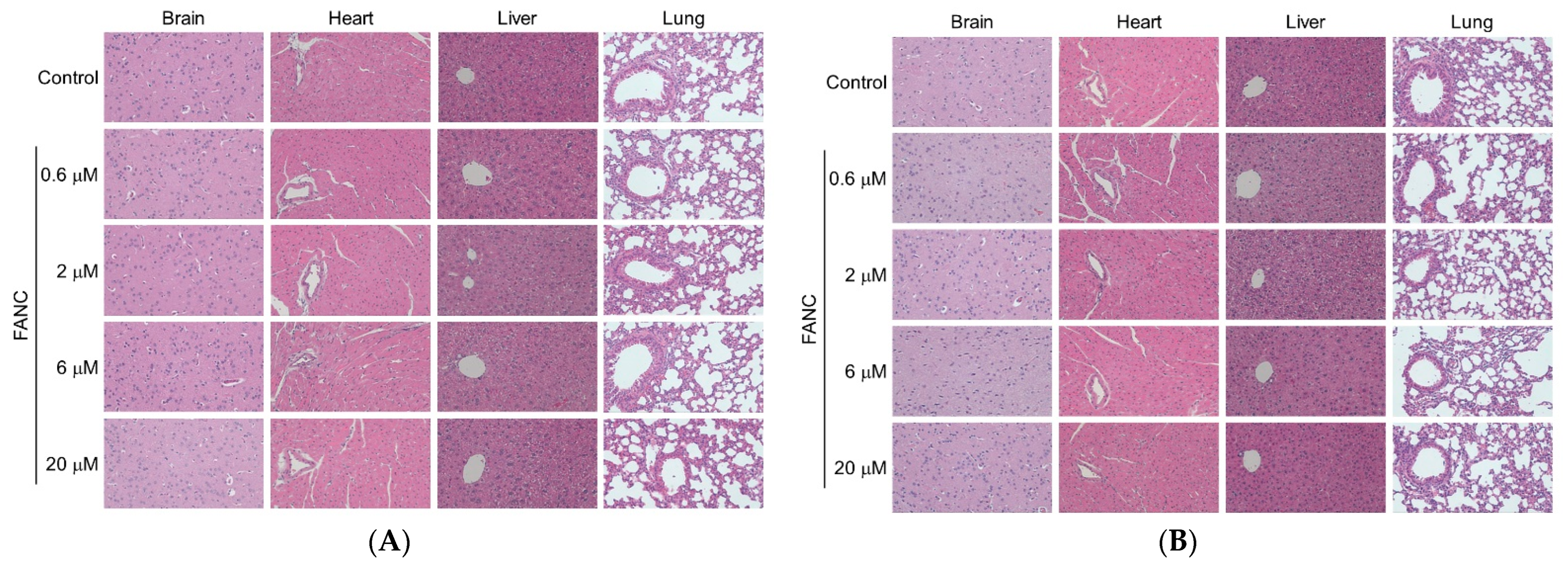 Nanomaterials 12 03868 g006a