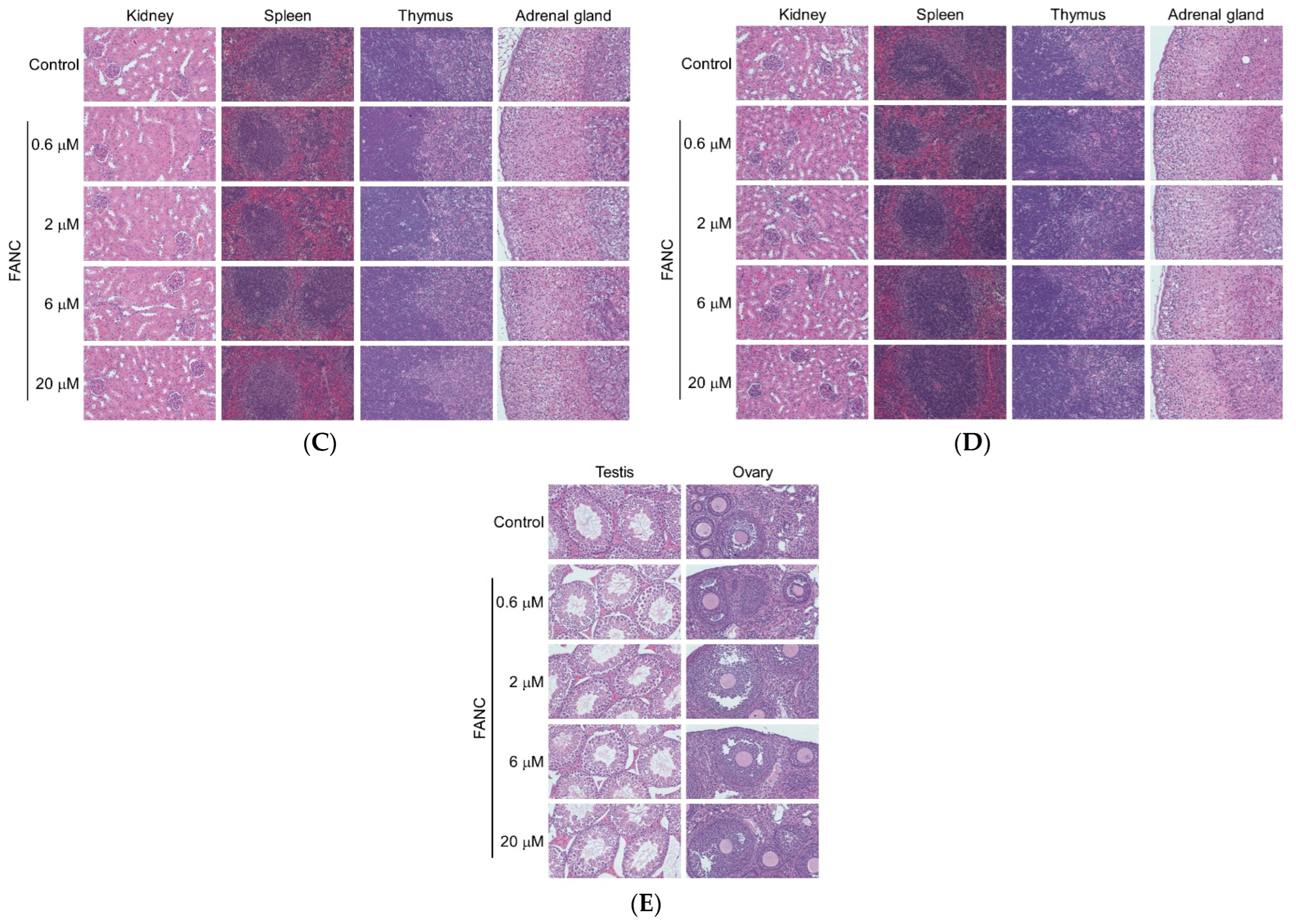Nanomaterials 12 03868 g006b