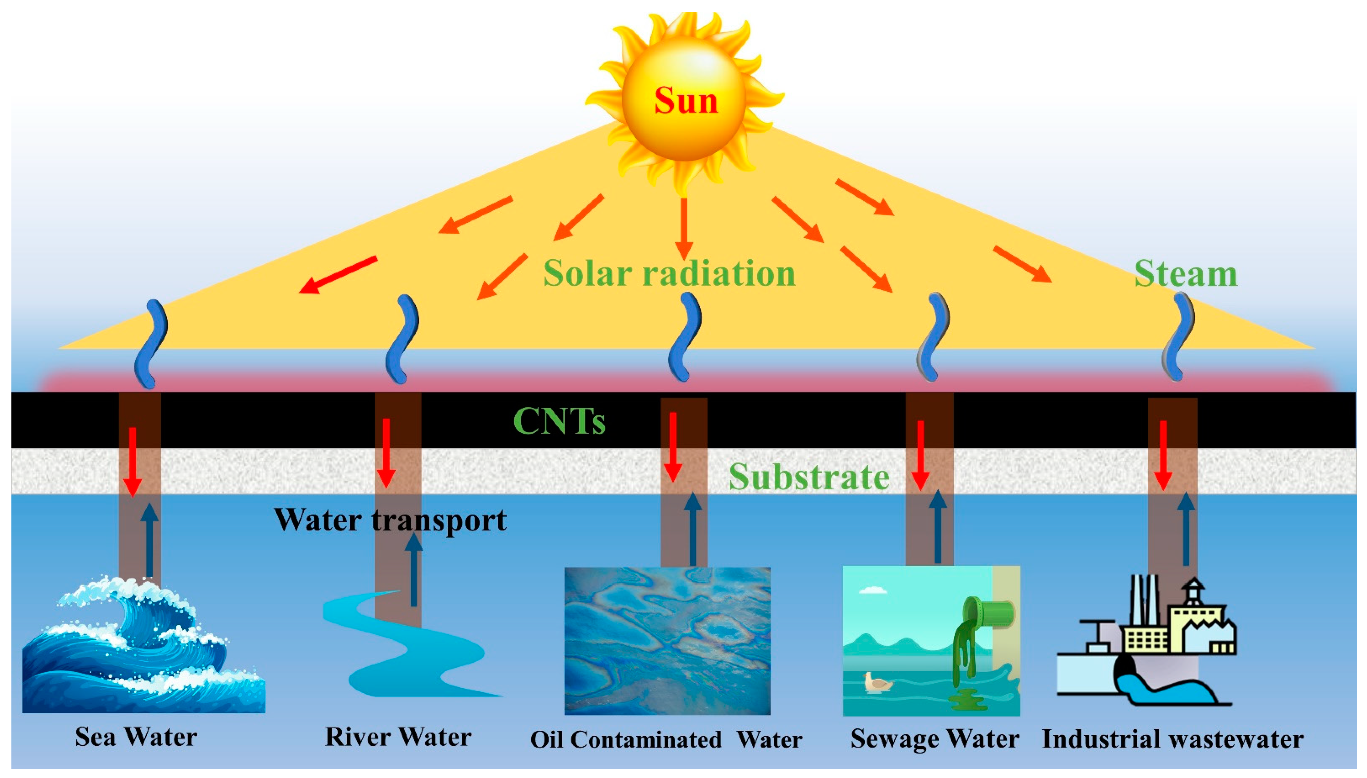 Nanomaterials 12 03871 g002