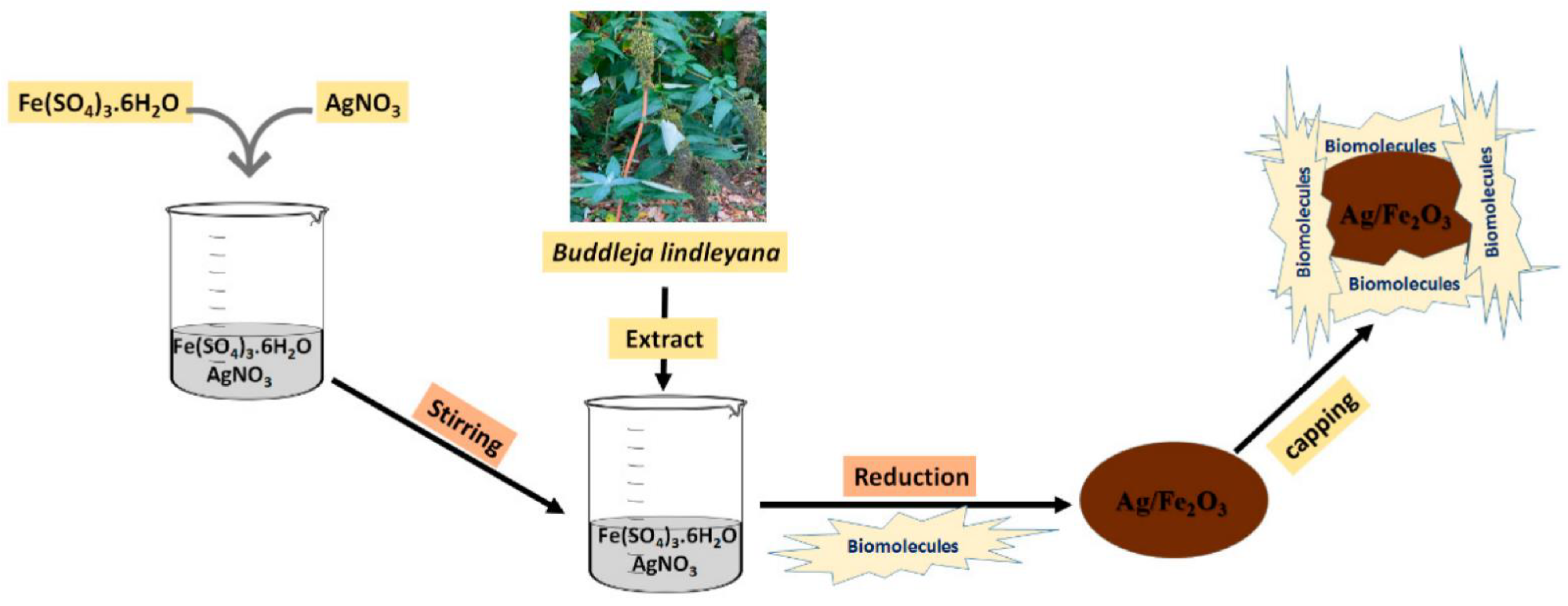 Nanomaterials 12 03873 g002