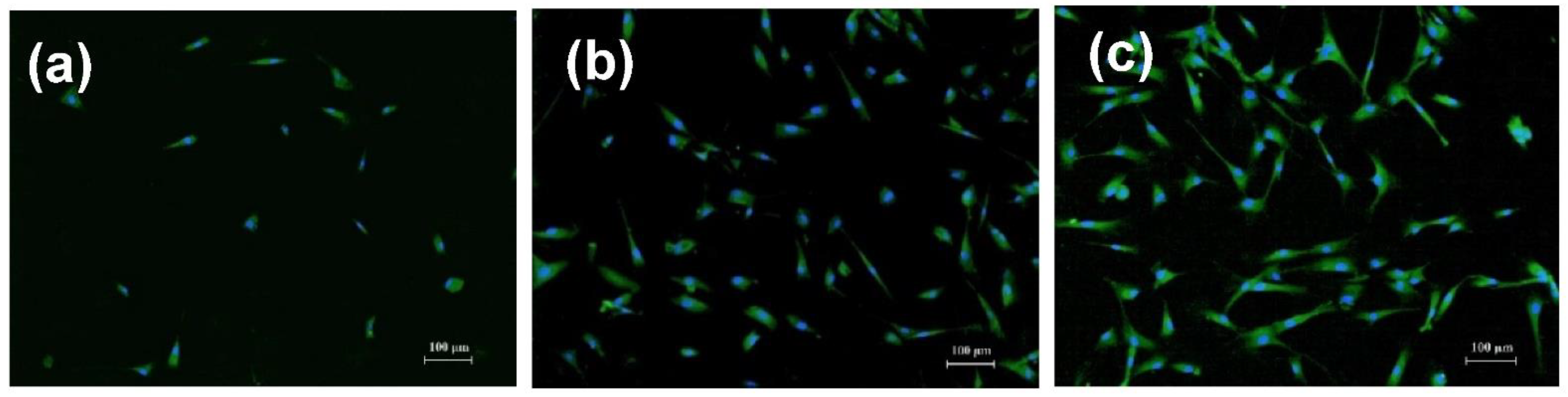 Nanomaterials 12 03873 g004