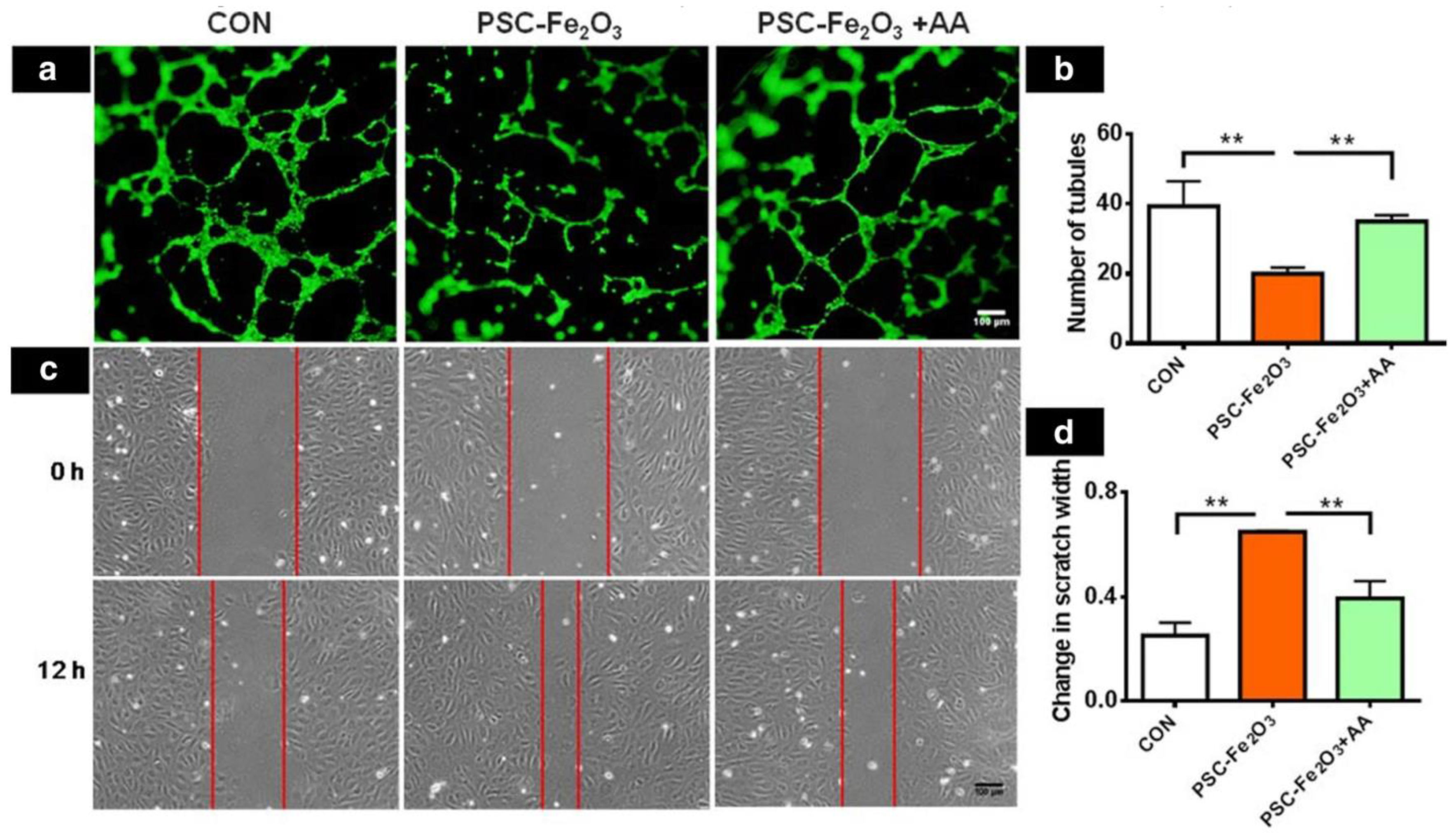 Nanomaterials 12 03873 g005