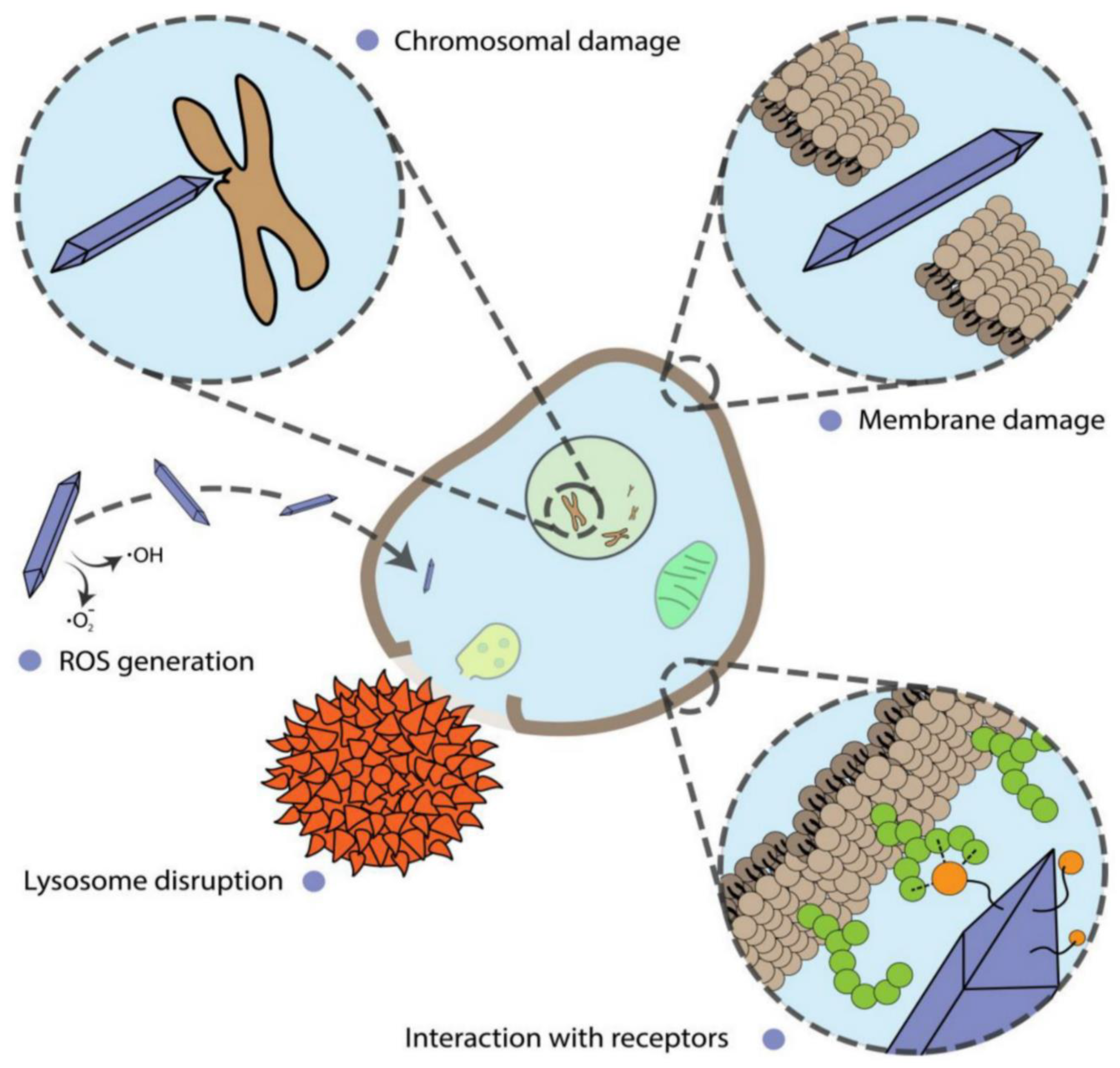 Nanomaterials 12 03873 g006