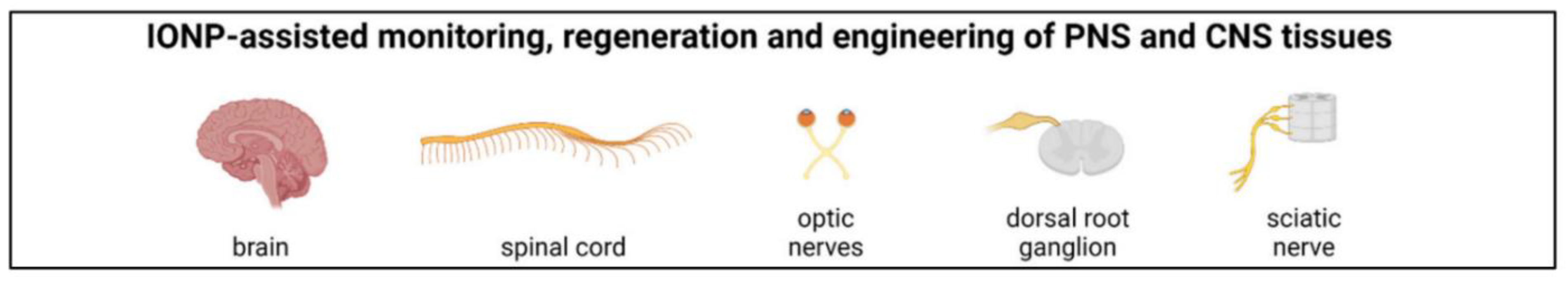 Nanomaterials 12 03873 g007