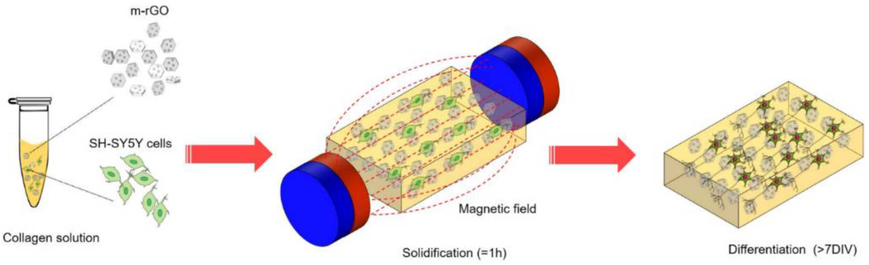 Nanomaterials 12 03873 g008