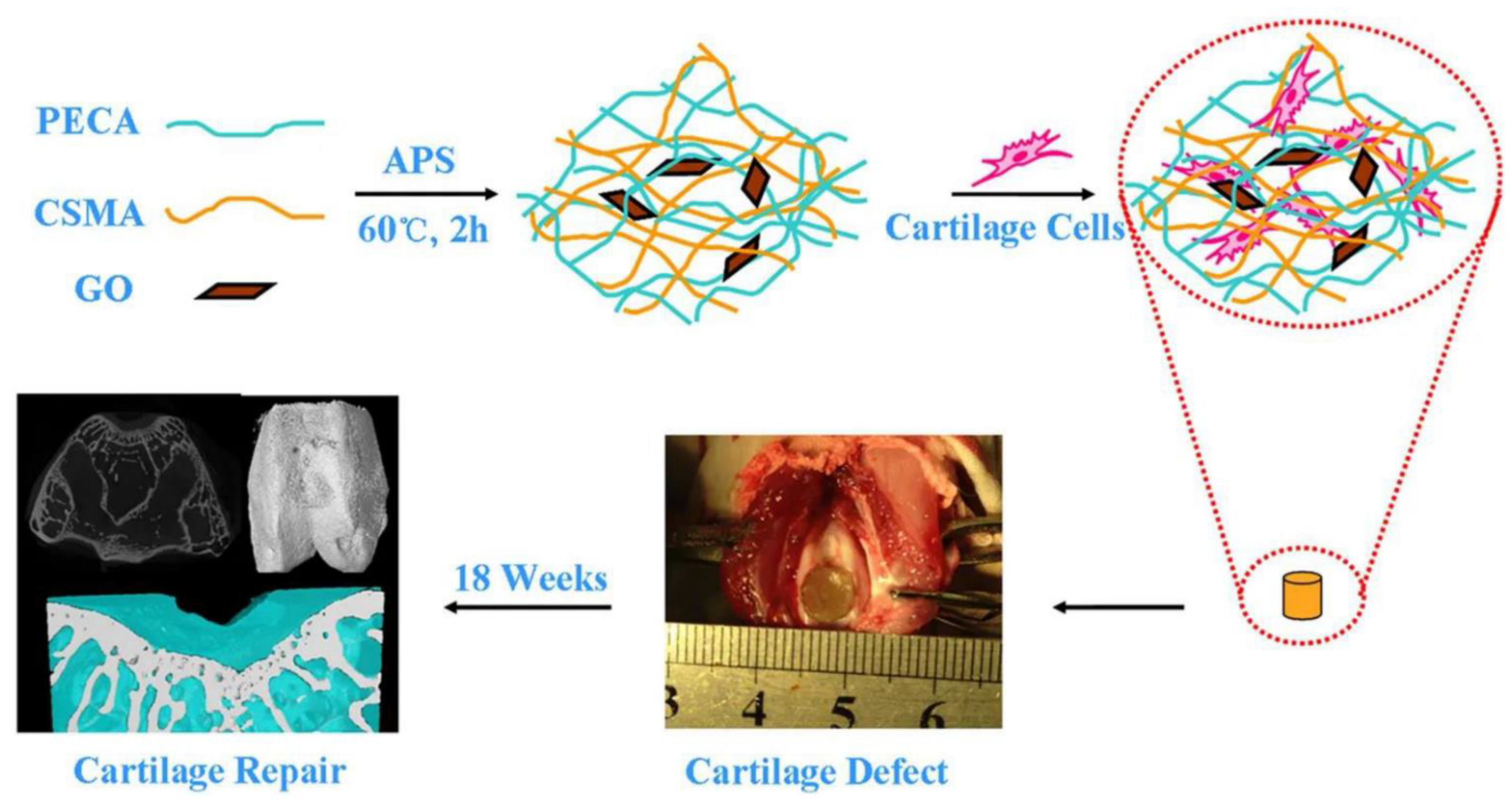 Nanomaterials 12 03873 g010