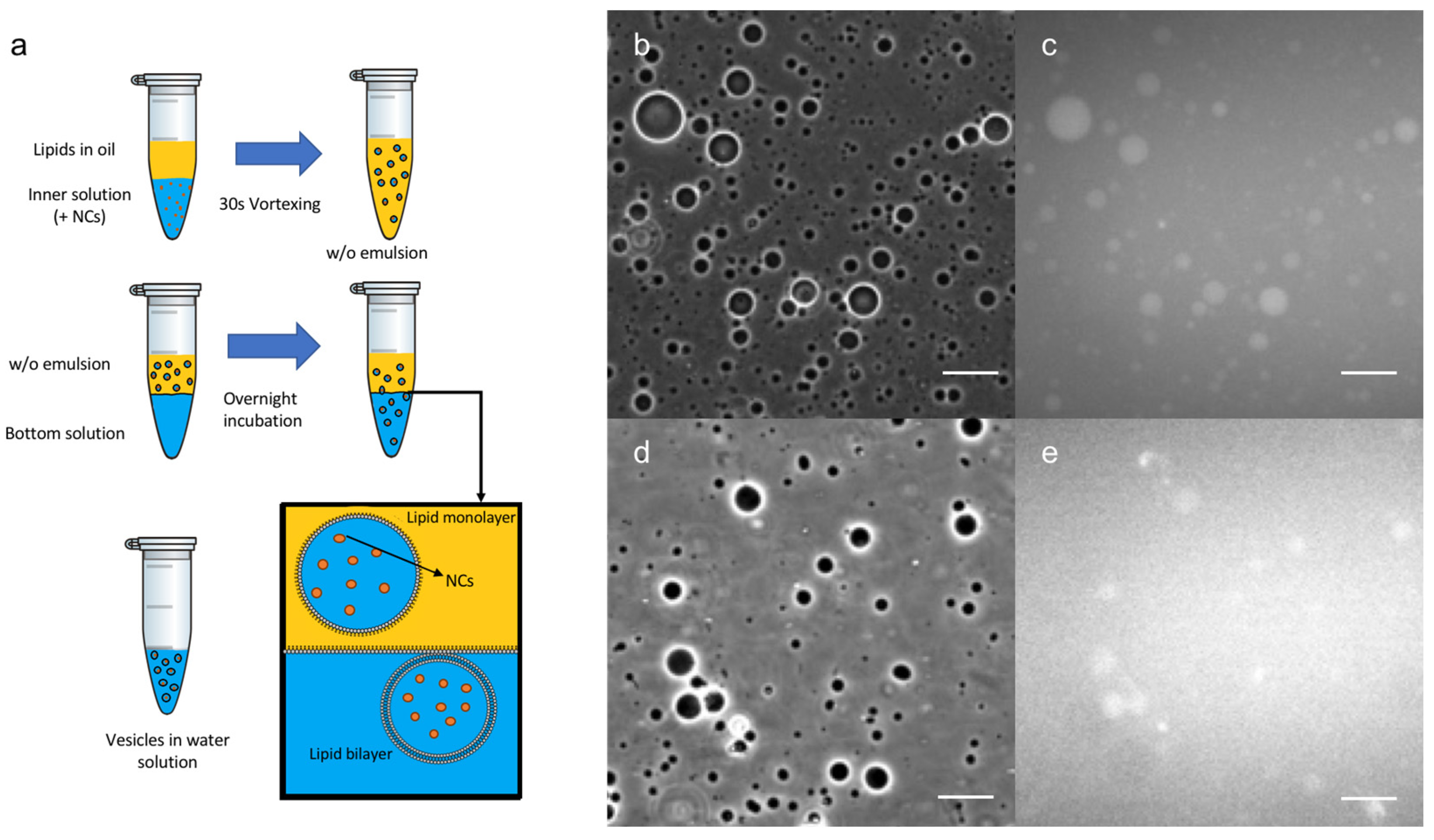 Nanomaterials 12 03875 g002