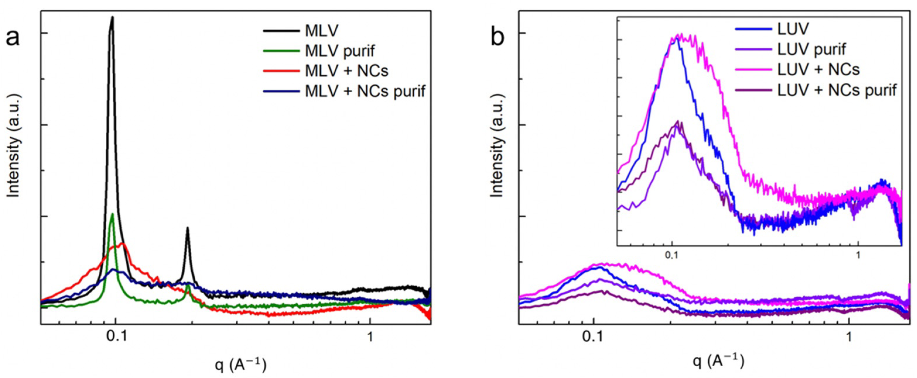 Nanomaterials 12 03875 g007
