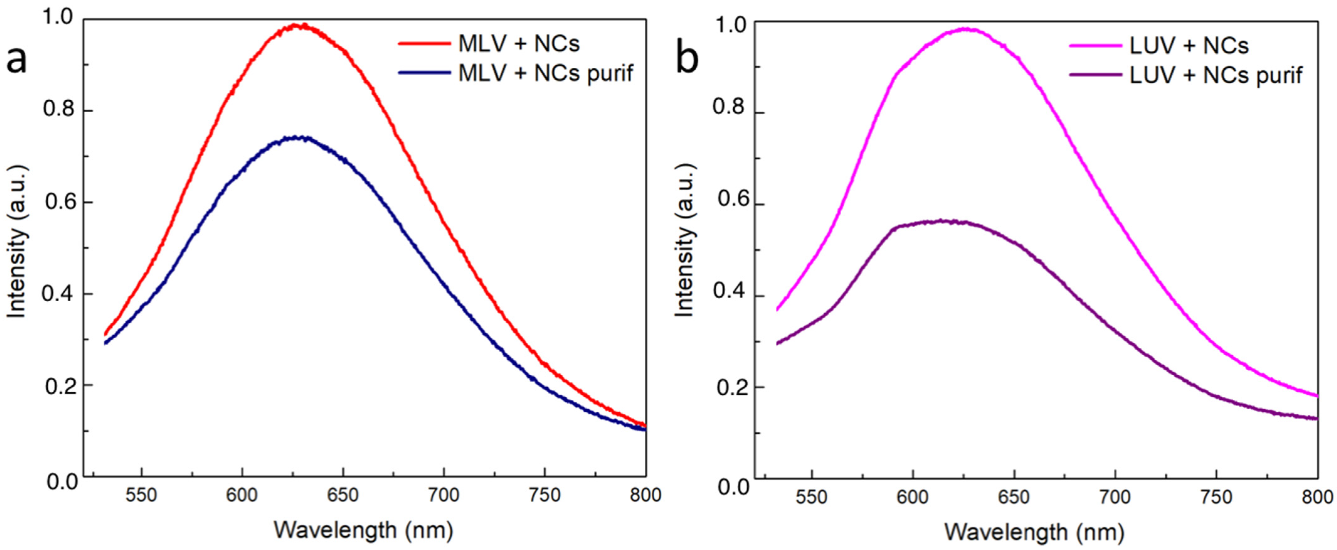 Nanomaterials 12 03875 g008