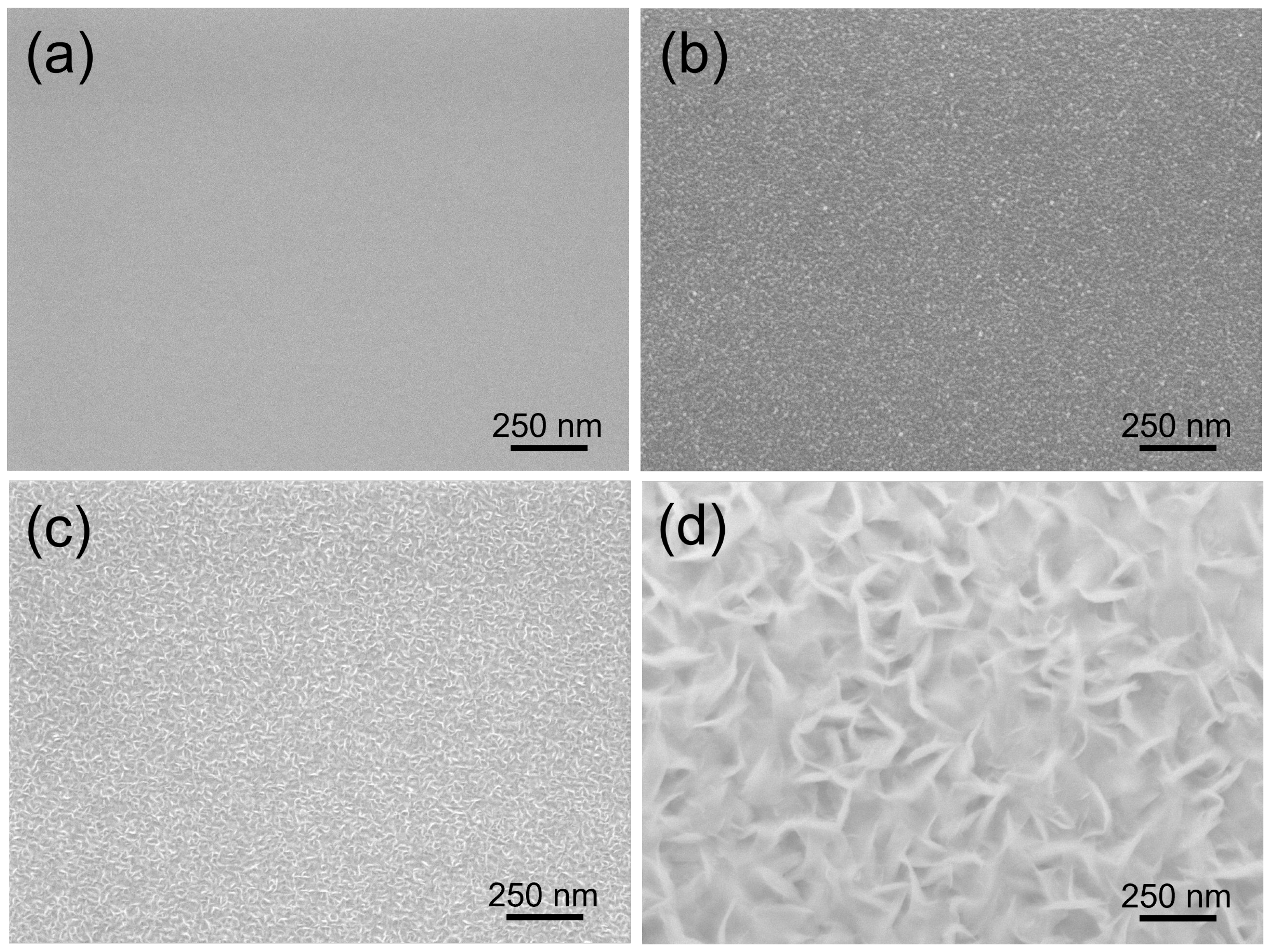Nanomaterials 12 03876 g001