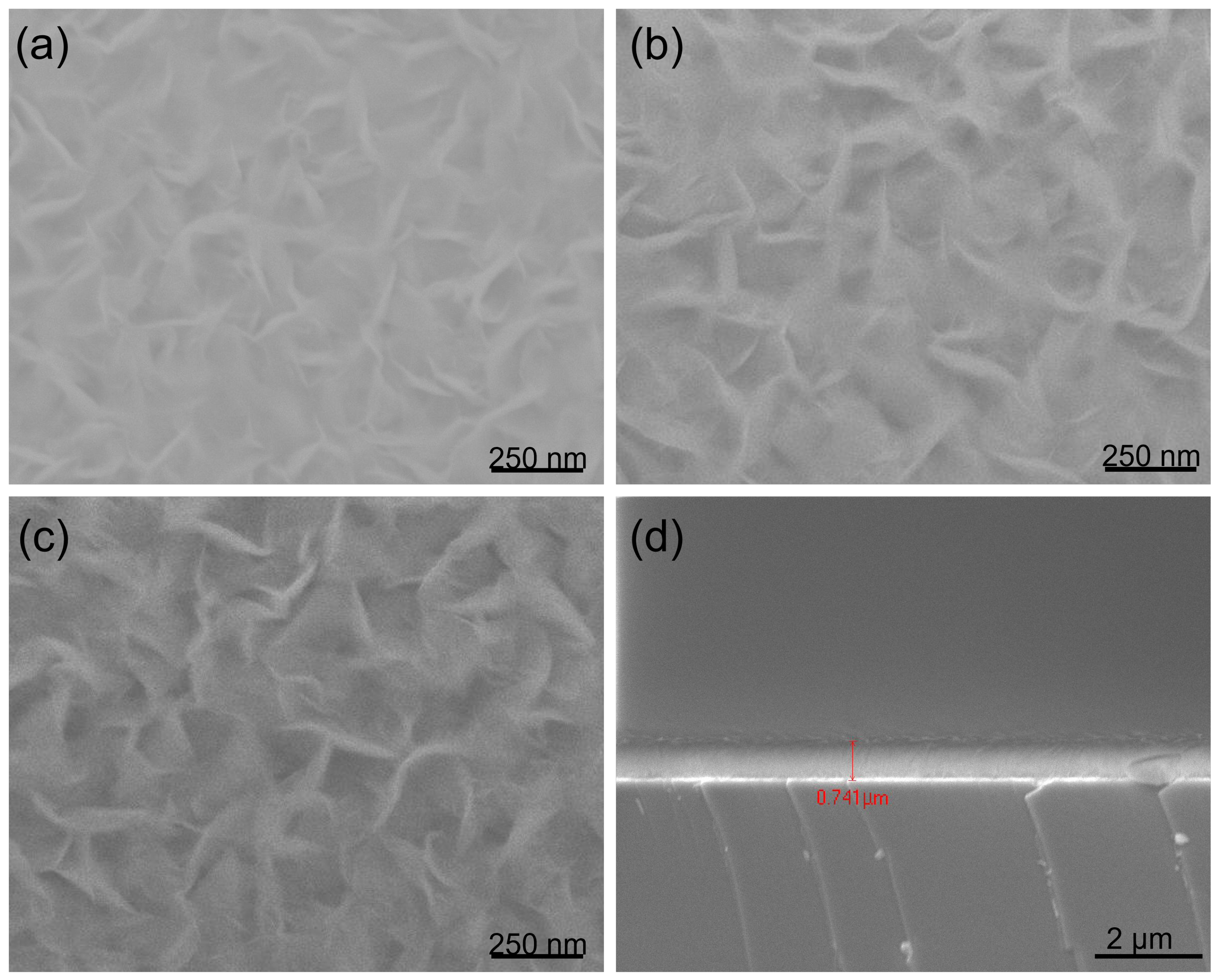 Nanomaterials 12 03876 g002