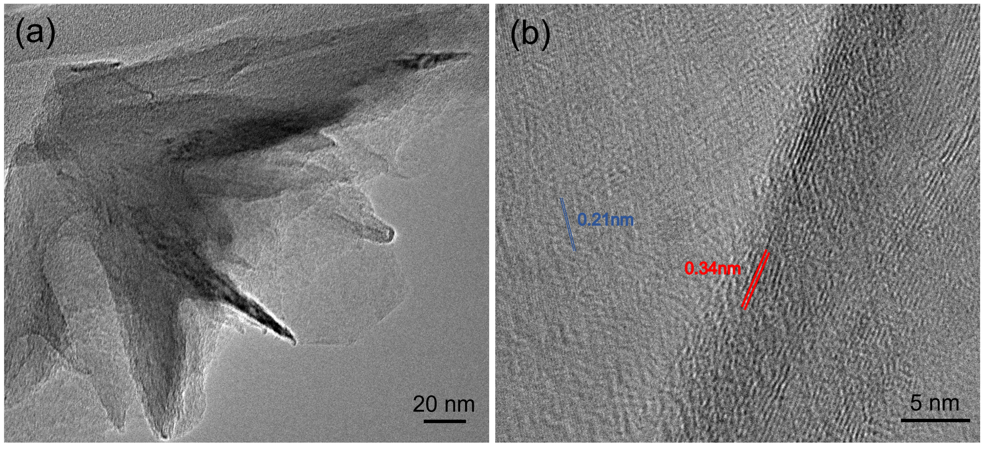 Nanomaterials 12 03876 g005