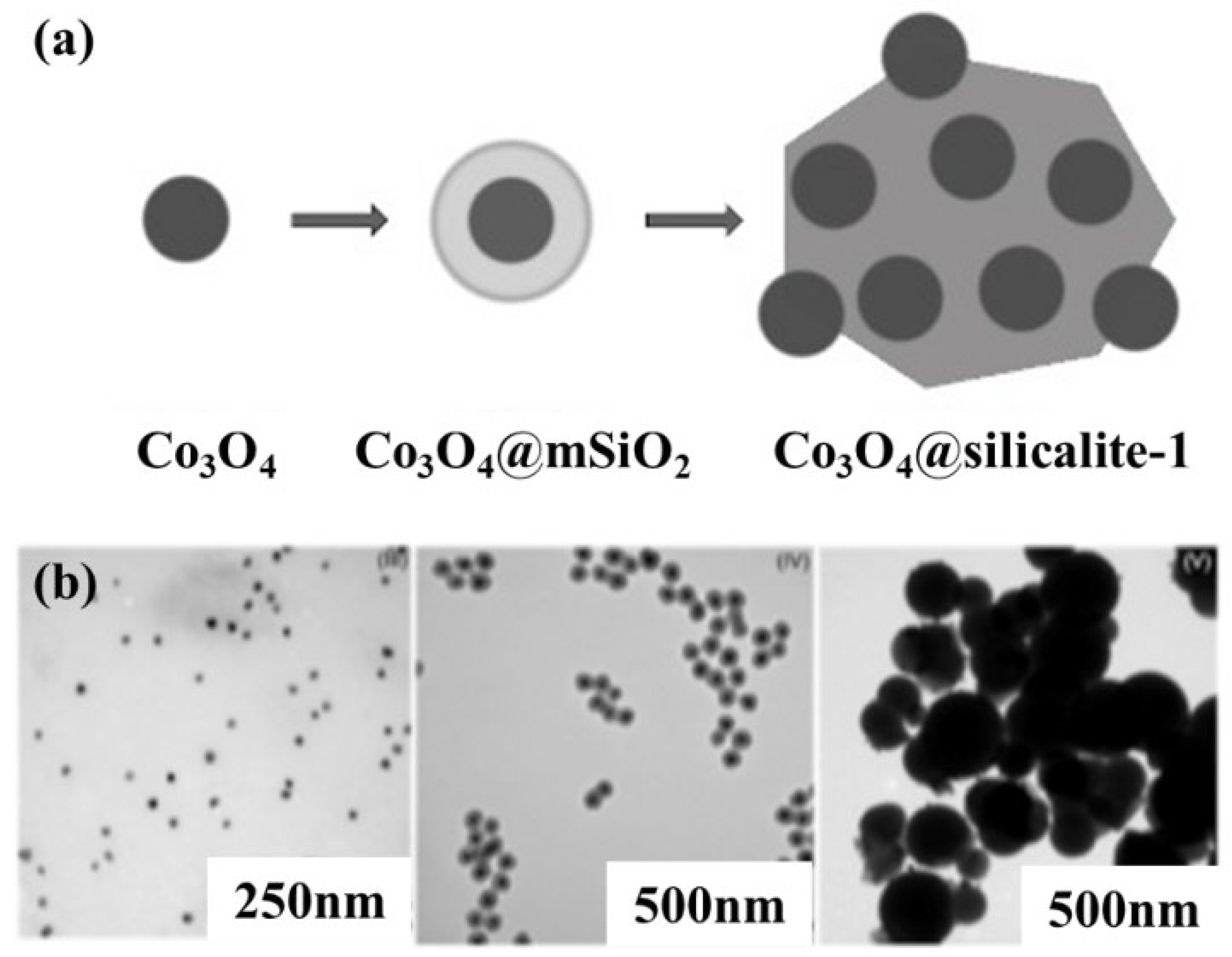 Nanomaterials 12 03877 g005