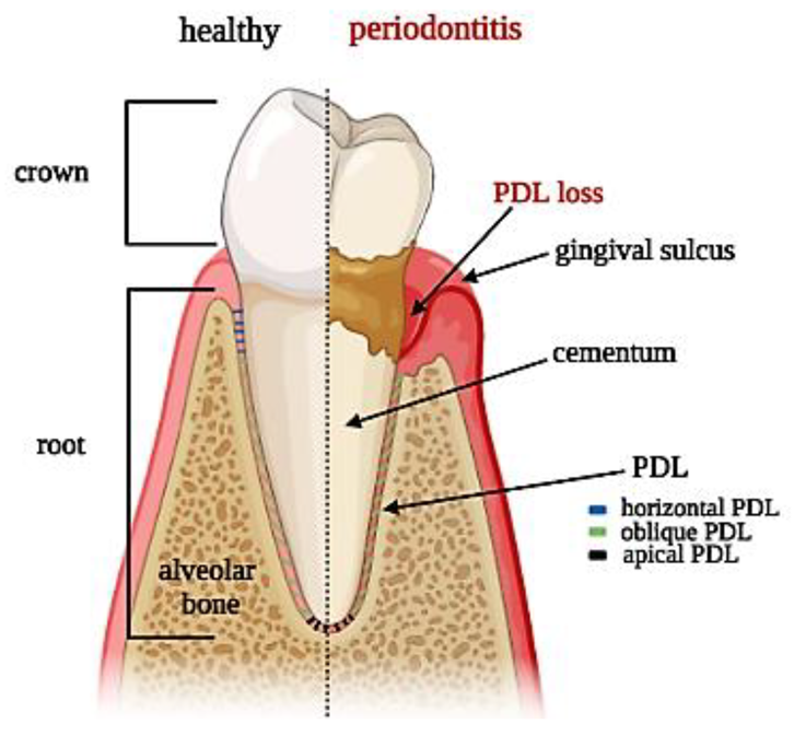 Nanomaterials 12 03878 g001
